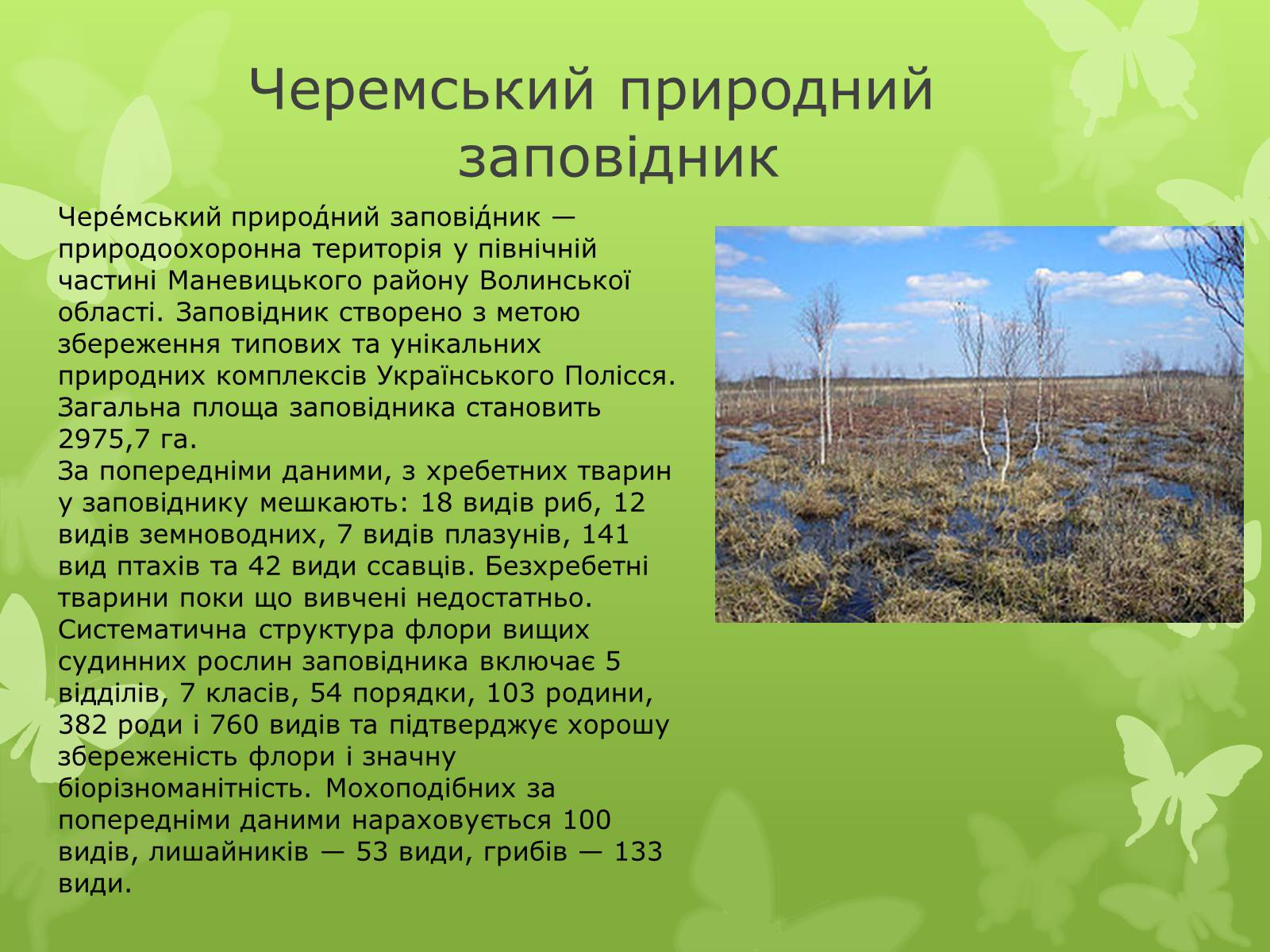 Презентація на тему «Природні заповідники України» (варіант 1) - Слайд #14