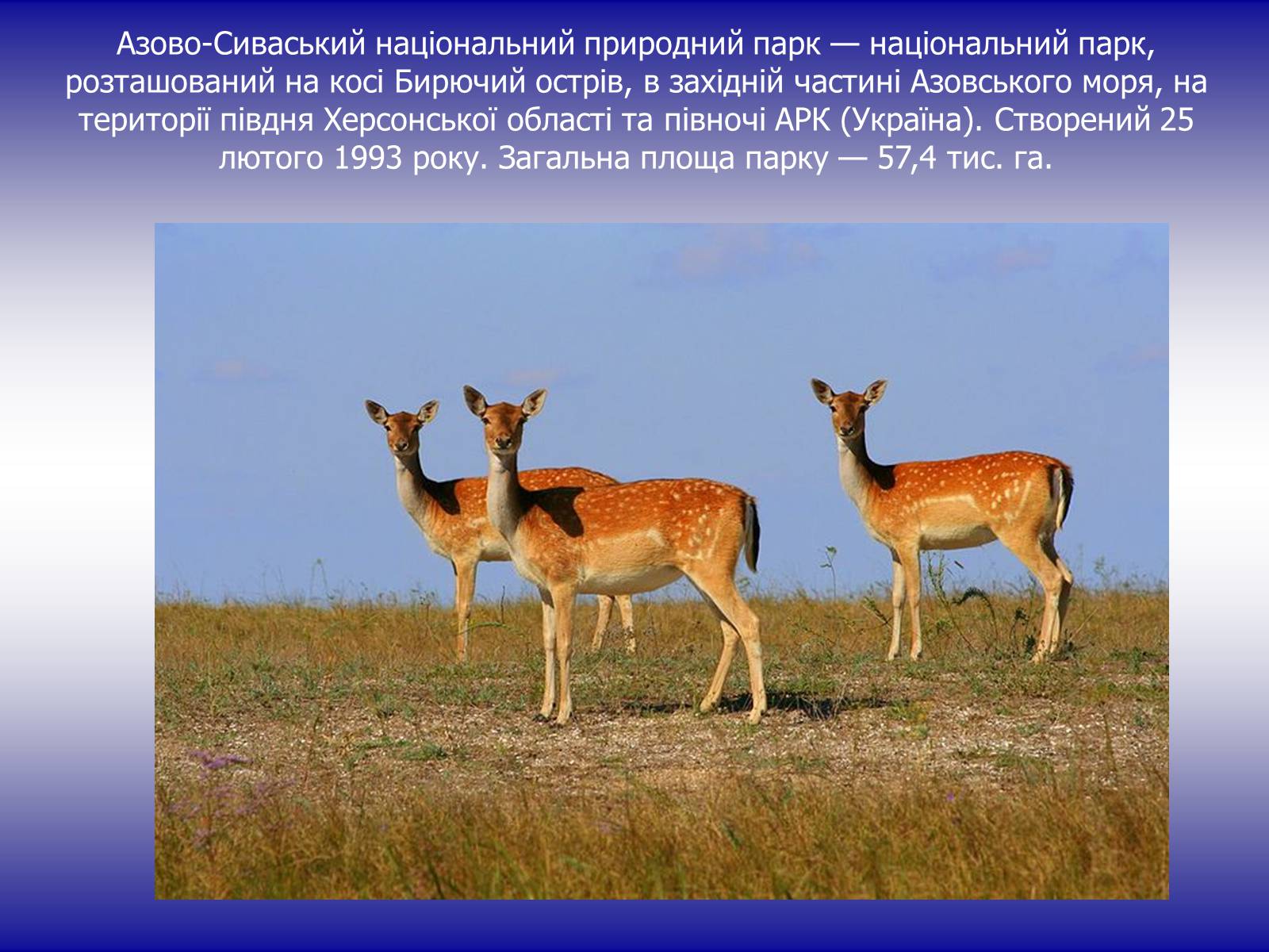 Презентація на тему «Національні природні парки України» (варіант 2) - Слайд #3