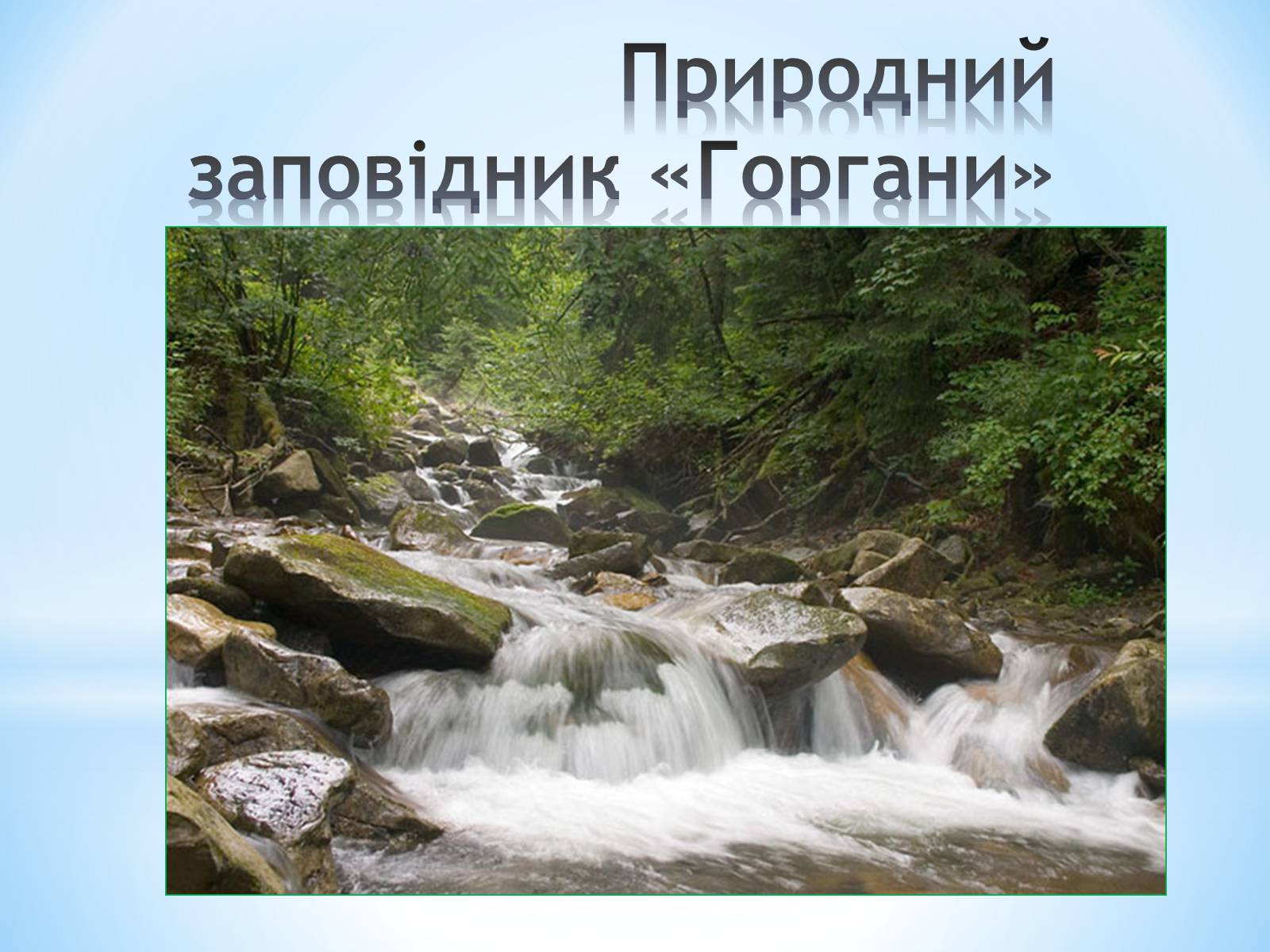 Презентація на тему «Природні заповідники України» (варіант 2) - Слайд #4