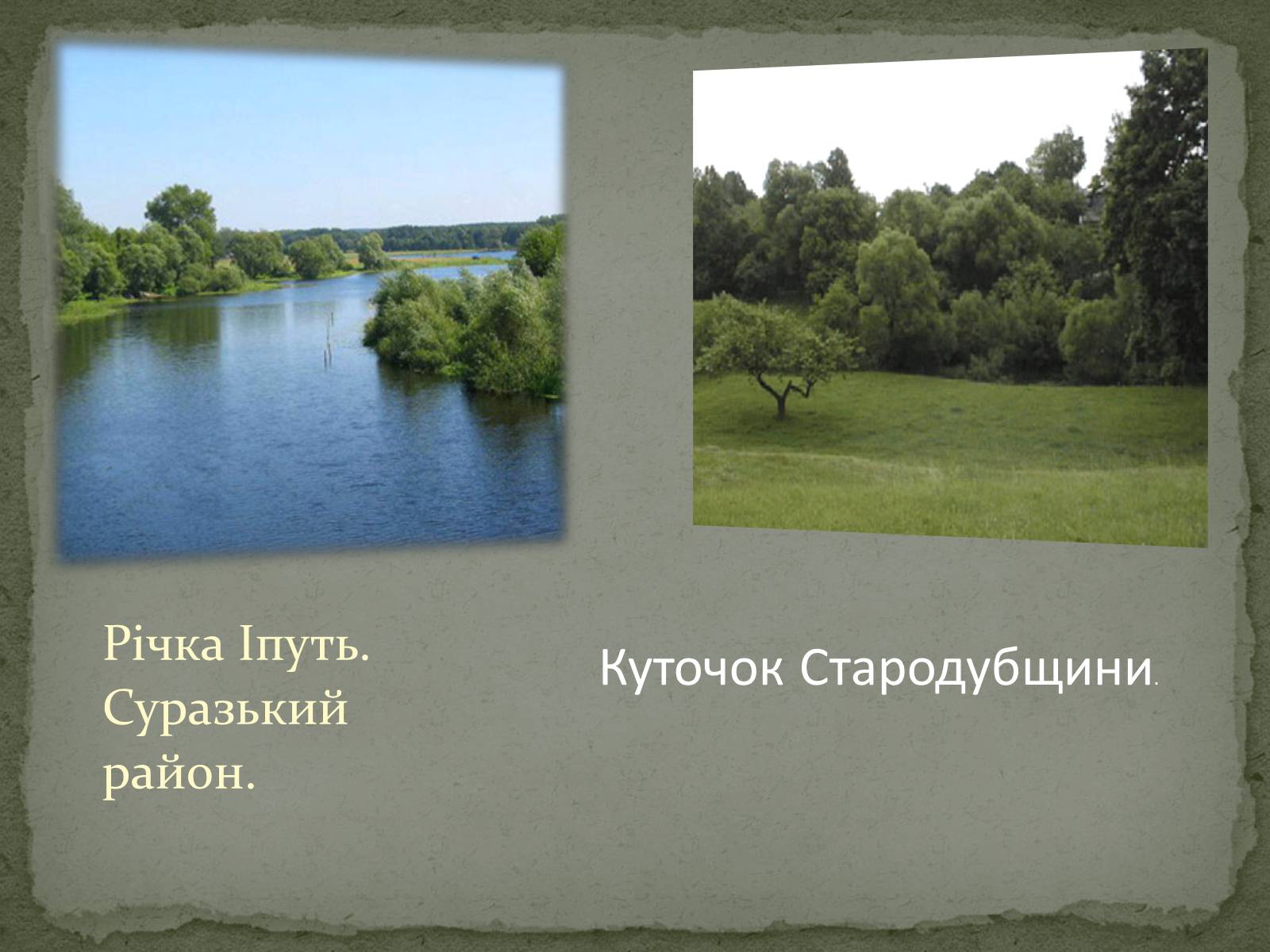 Презентація на тему «Історичні землі України» - Слайд #14