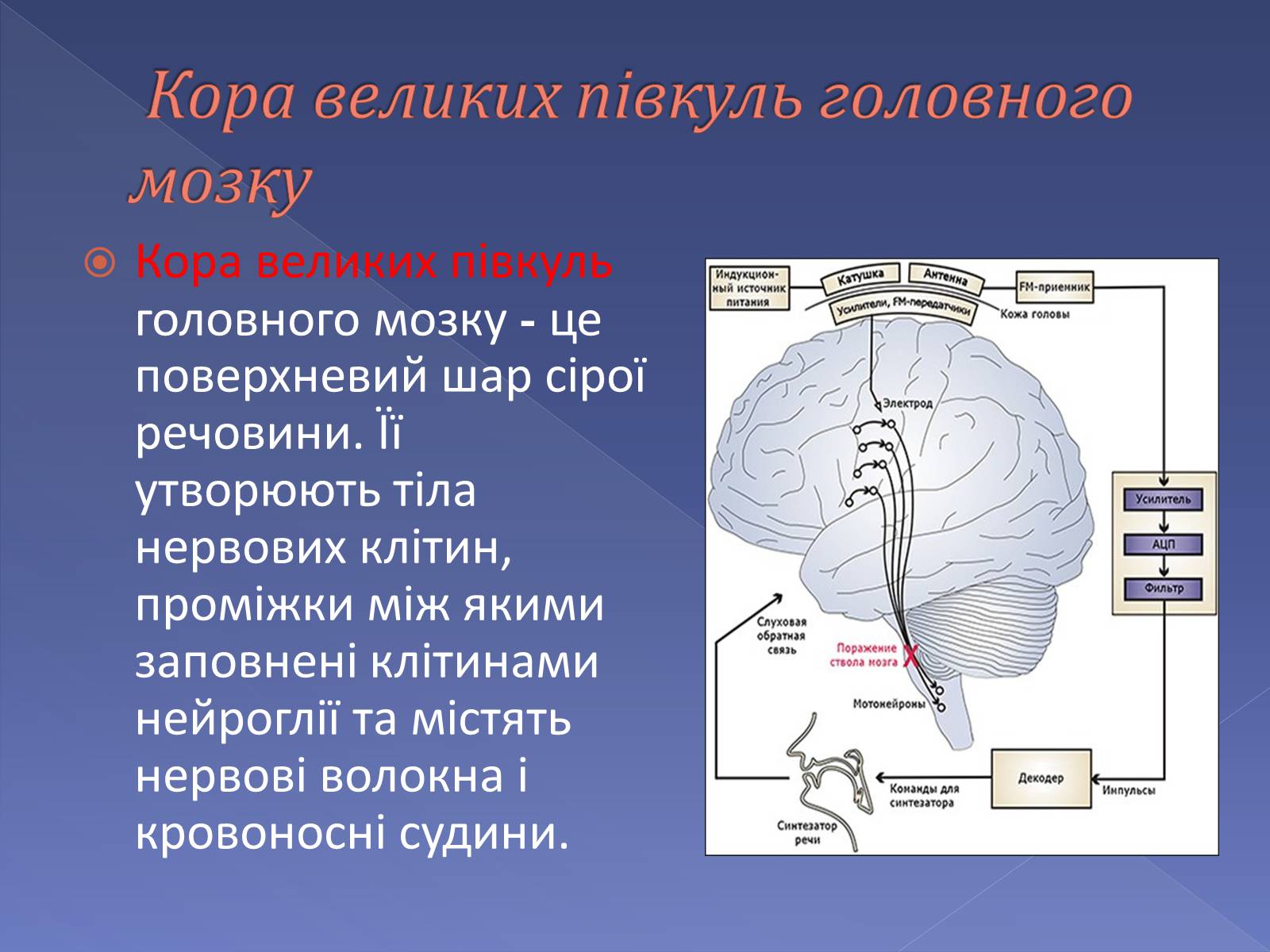 Презентація на тему «Мислення і cвідомість людини» - Слайд #2