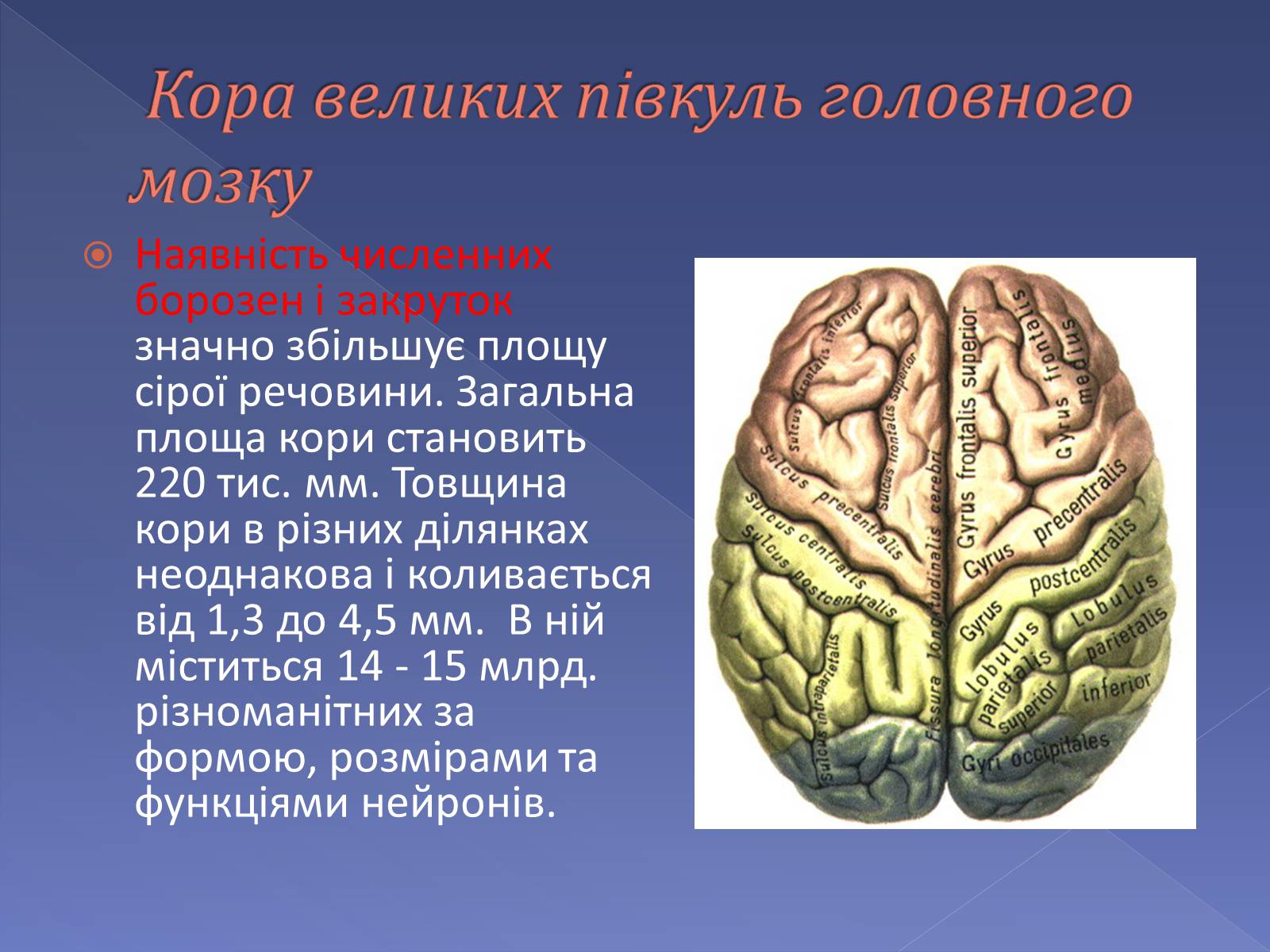 Презентація на тему «Мислення і cвідомість людини» - Слайд #3