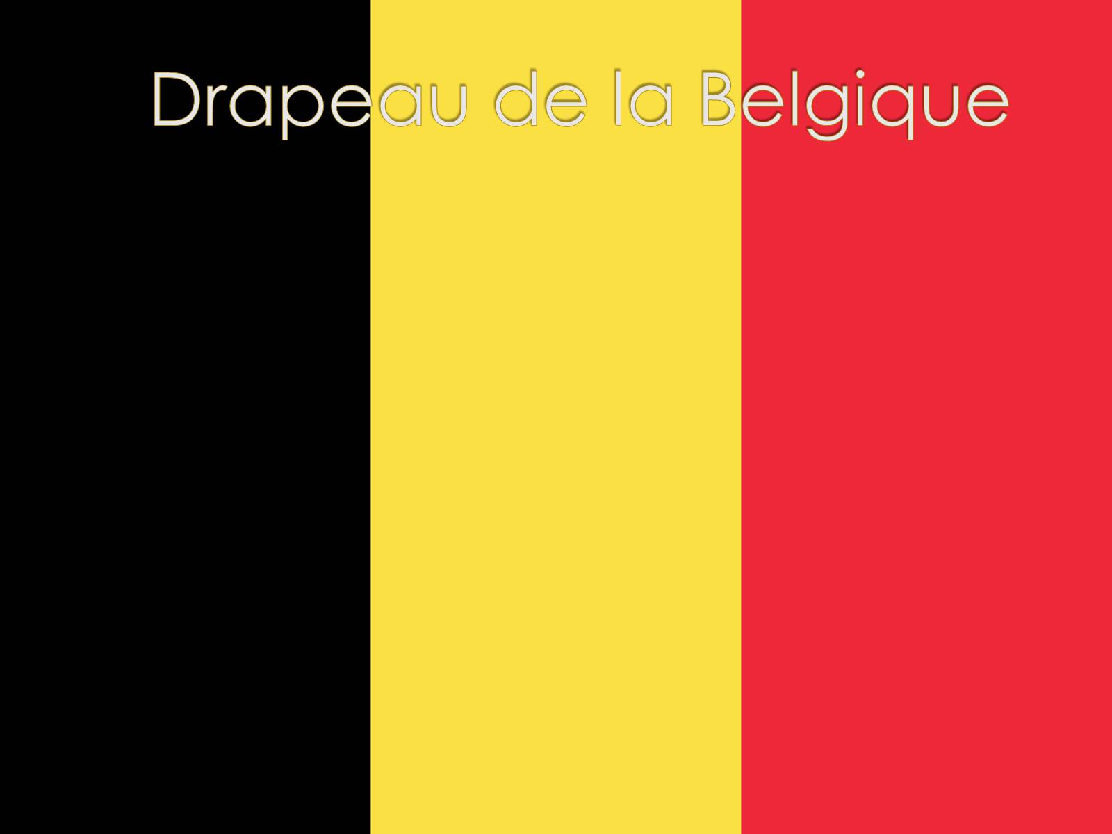 Презентація на тему «Royaume de Belgique» - Слайд #5