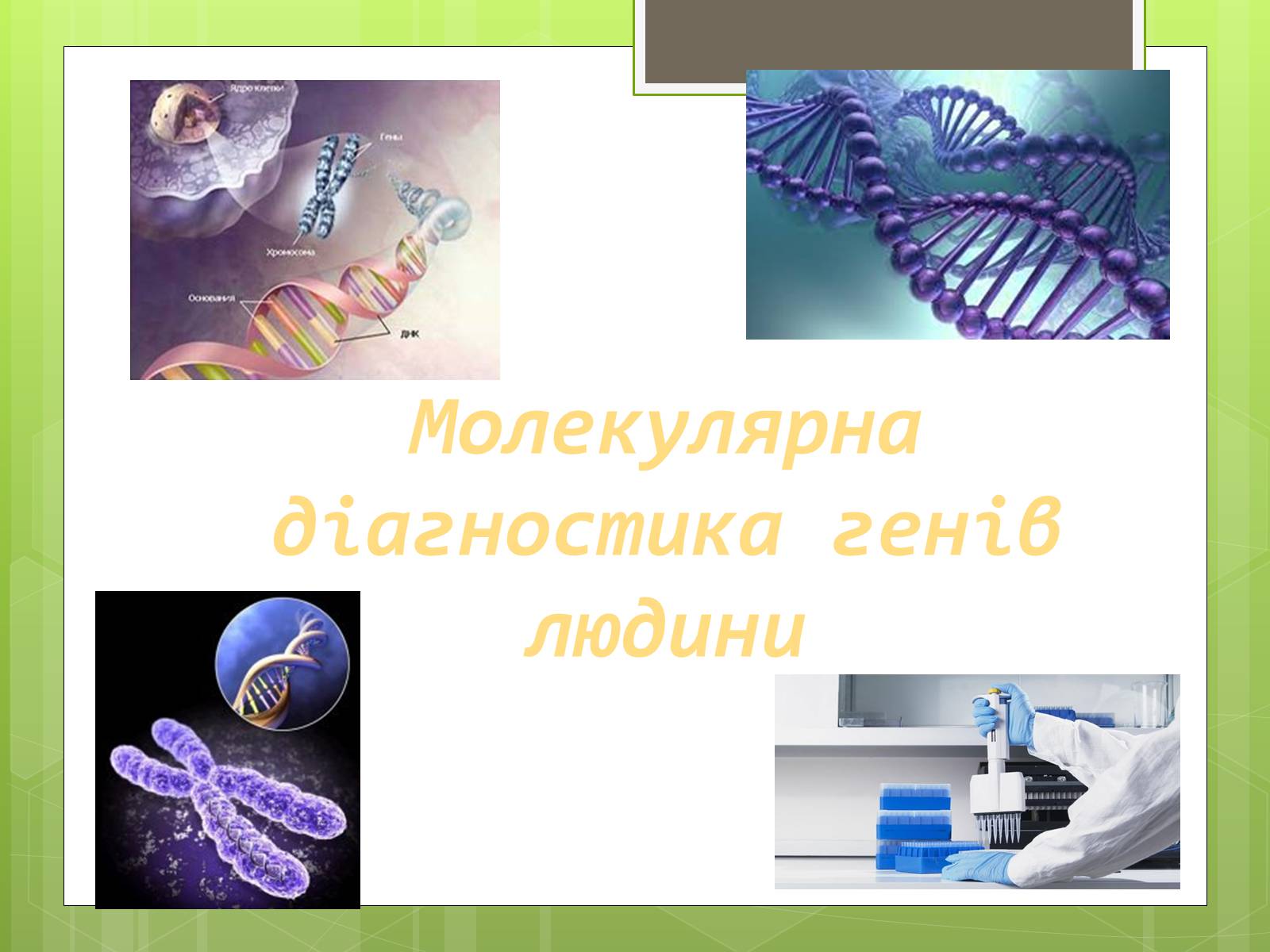 Презентація на тему «Молекулярна діагностика генів людини» - Слайд #1
