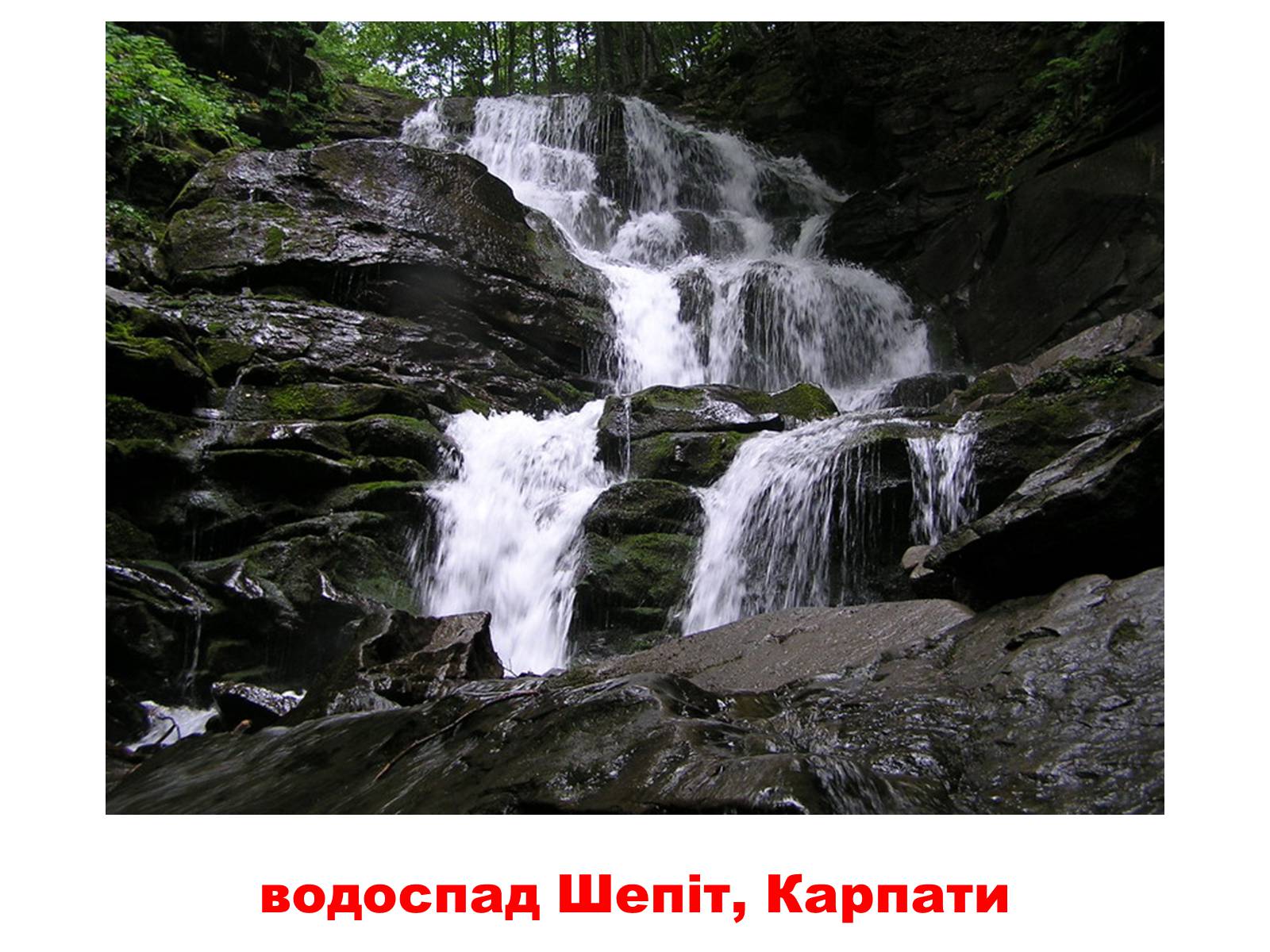 Презентація на тему «Природа України» - Слайд #3