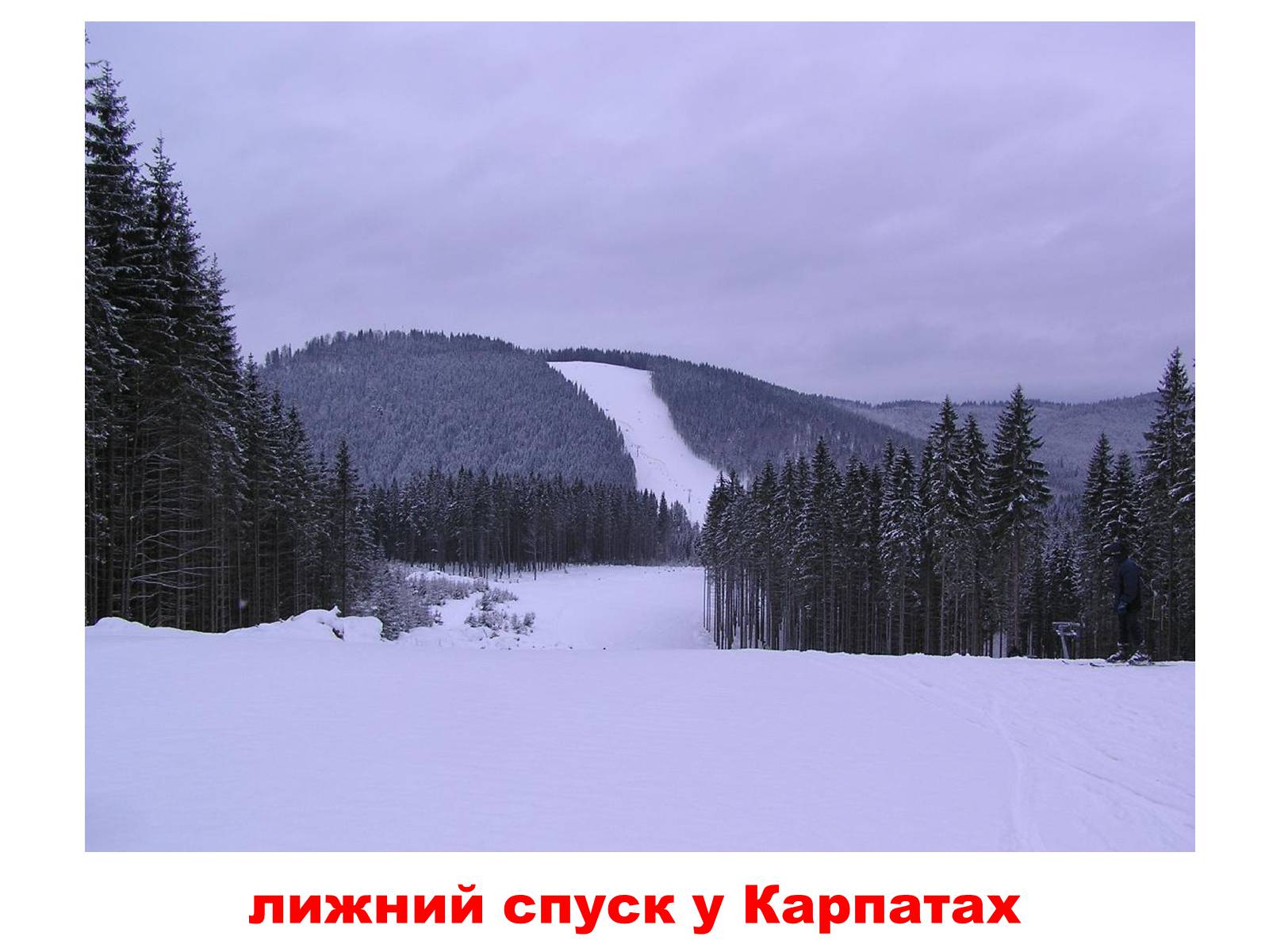 Презентація на тему «Природа України» - Слайд #6