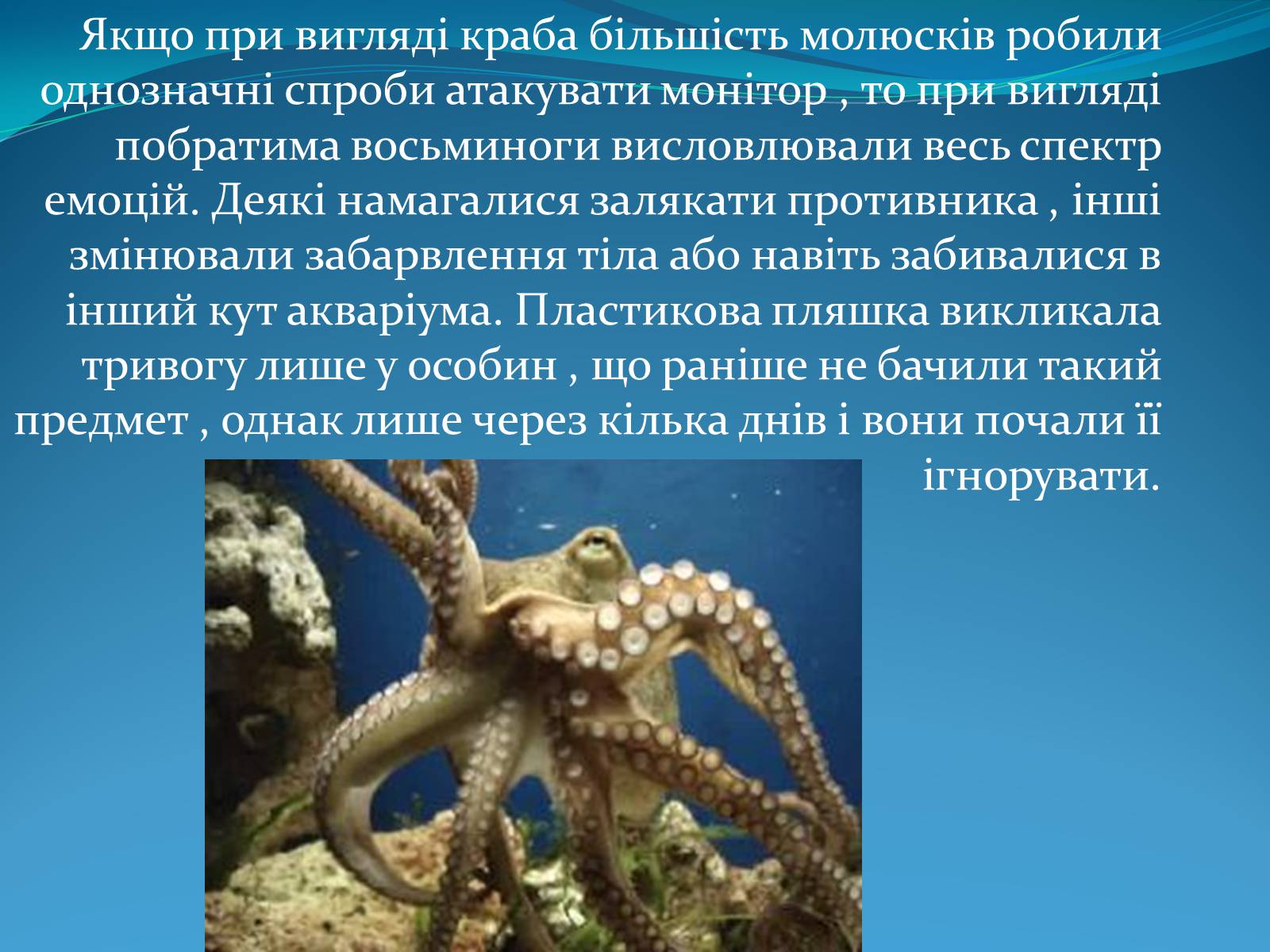 Презентація на тему «Досліди над головоногими молюсками» - Слайд #3