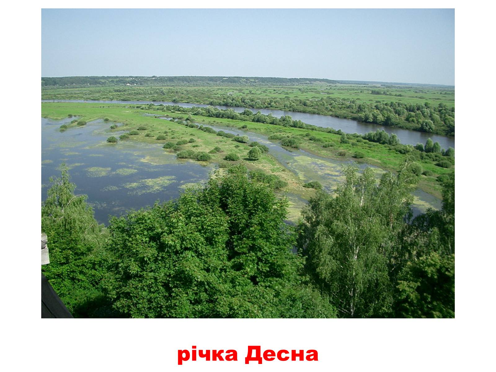 Презентація на тему «Природа України» - Слайд #17