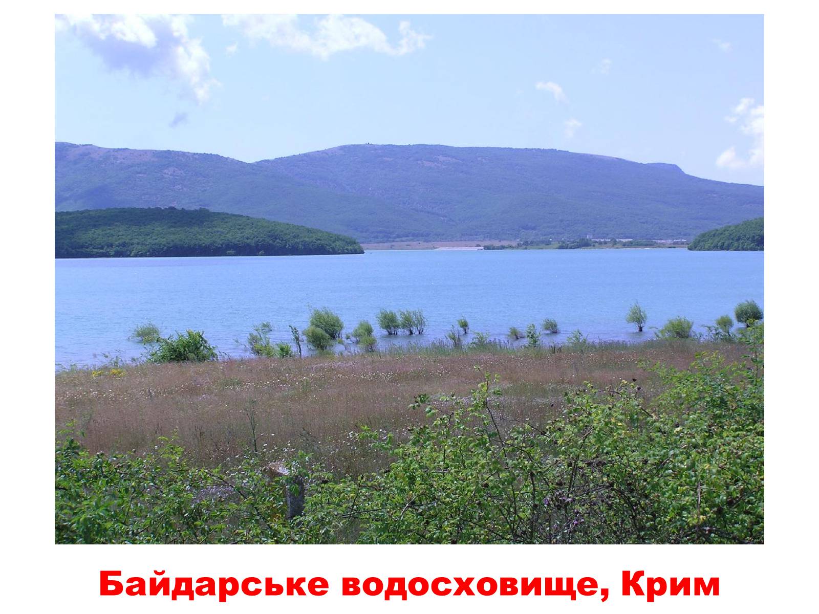 Презентація на тему «Природа України» - Слайд #25