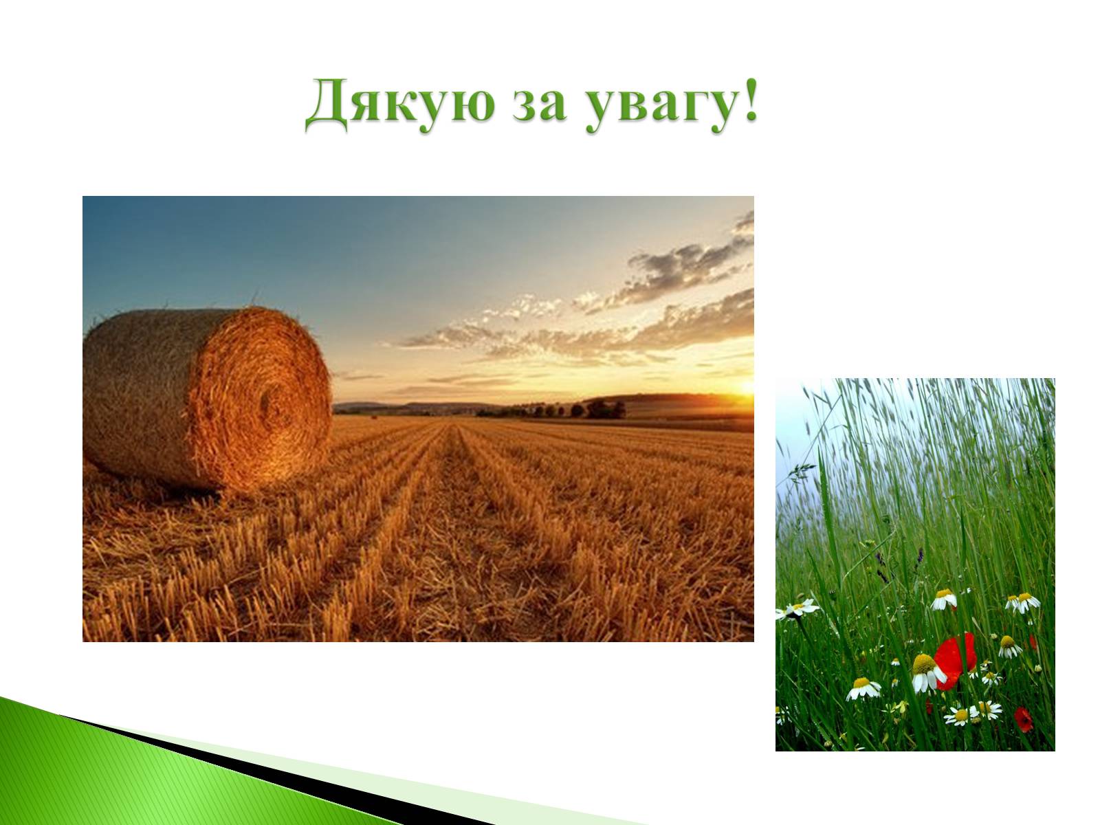Презентація на тему «Господарство України» - Слайд #15