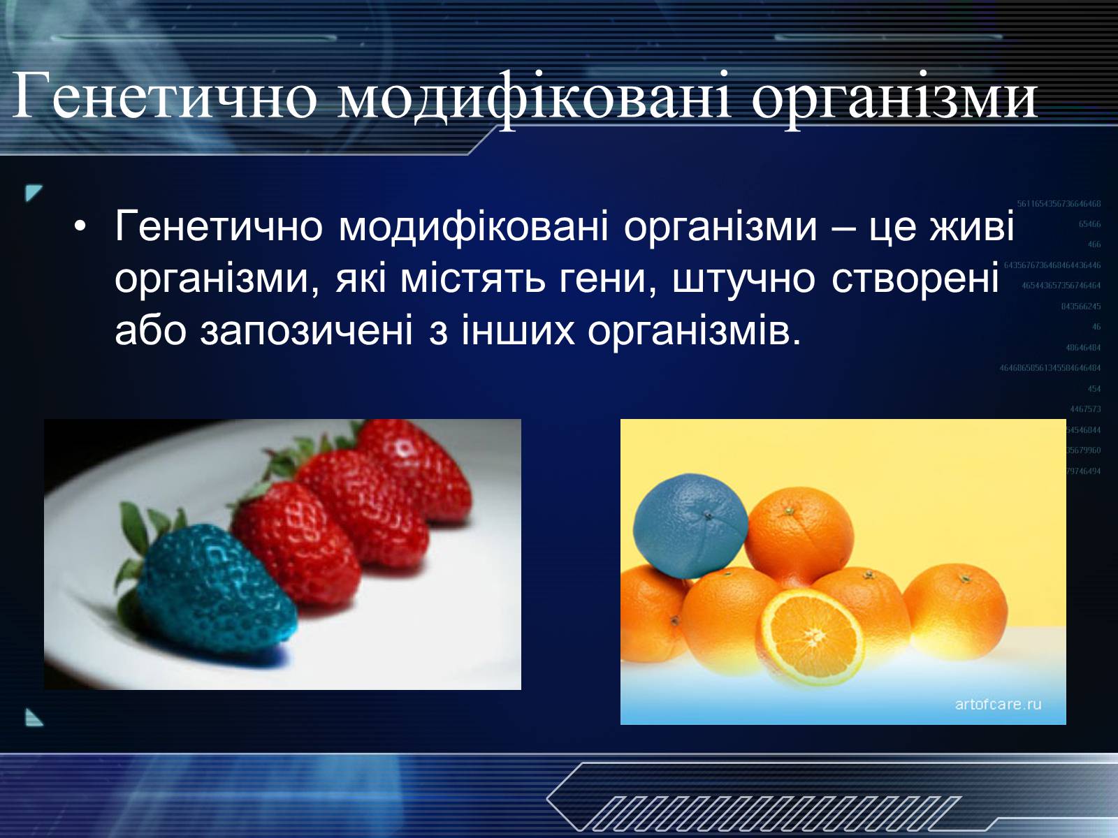 Презентація на тему «Генетично модифіковані організми» (варіант 1) - Слайд #2