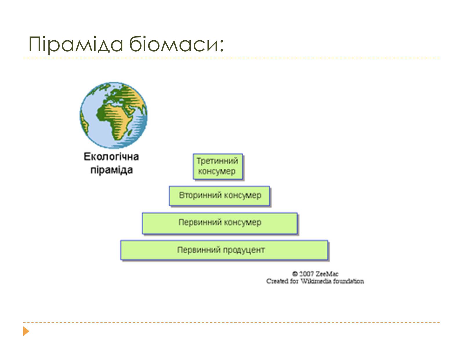 Презентація на тему «Розміри та склад екосистем» - Слайд #12