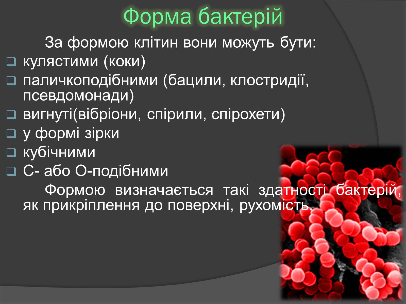 Презентація на тему «Віруси» (варіант 20) - Слайд #23