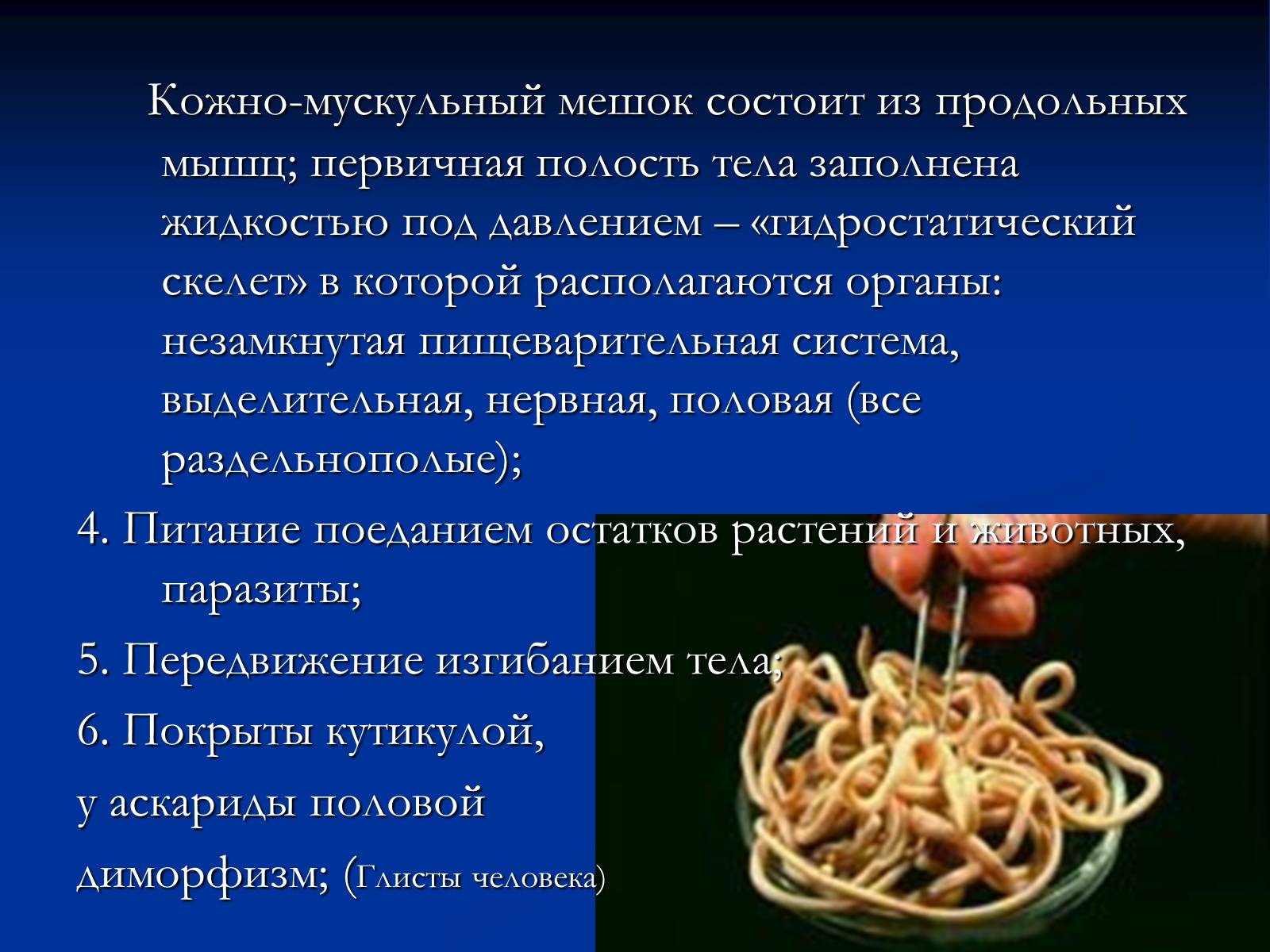 Презентація на тему «Тип Круглые черви» (варіант 1) - Слайд #3