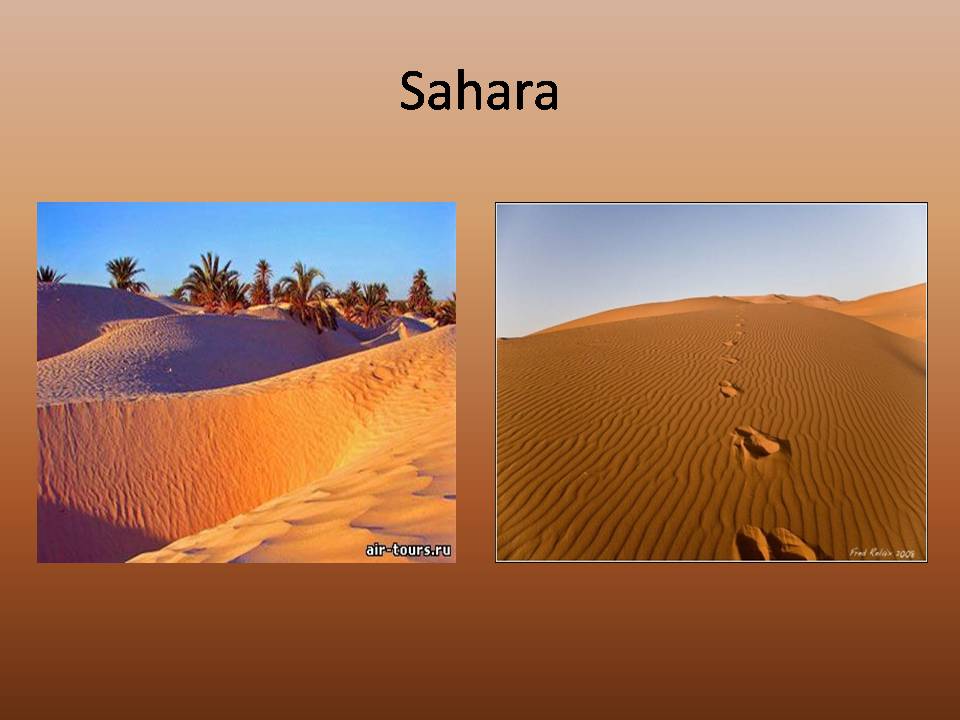 Презентація на тему «The largest desert in the world» - Слайд #8