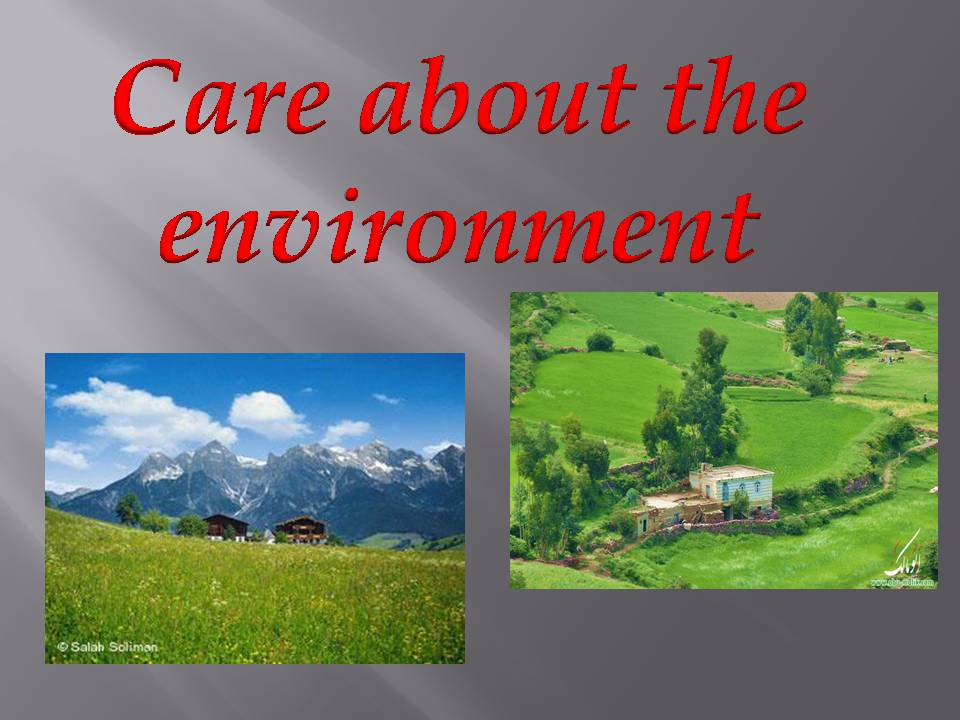 Презентація на тему «Care about the environment» - Слайд #1