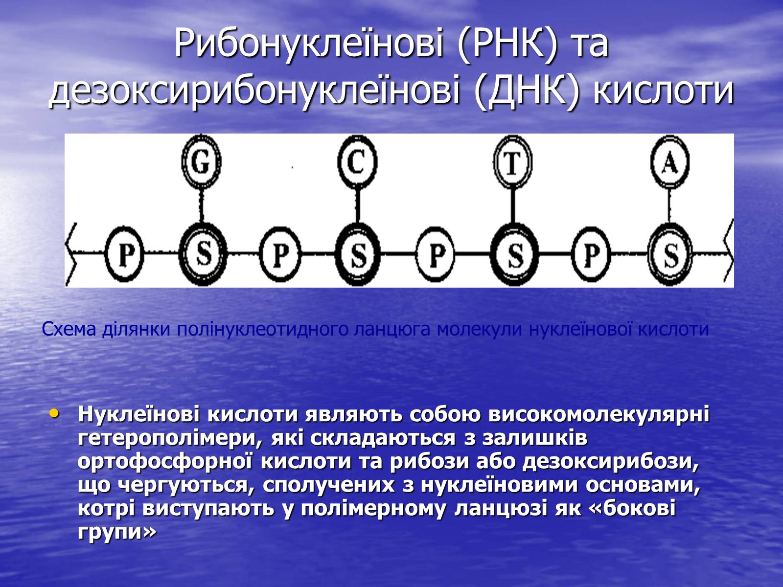 Презентація на тему «Нуклеїнові кислоти» (варіант 6) - Слайд #16