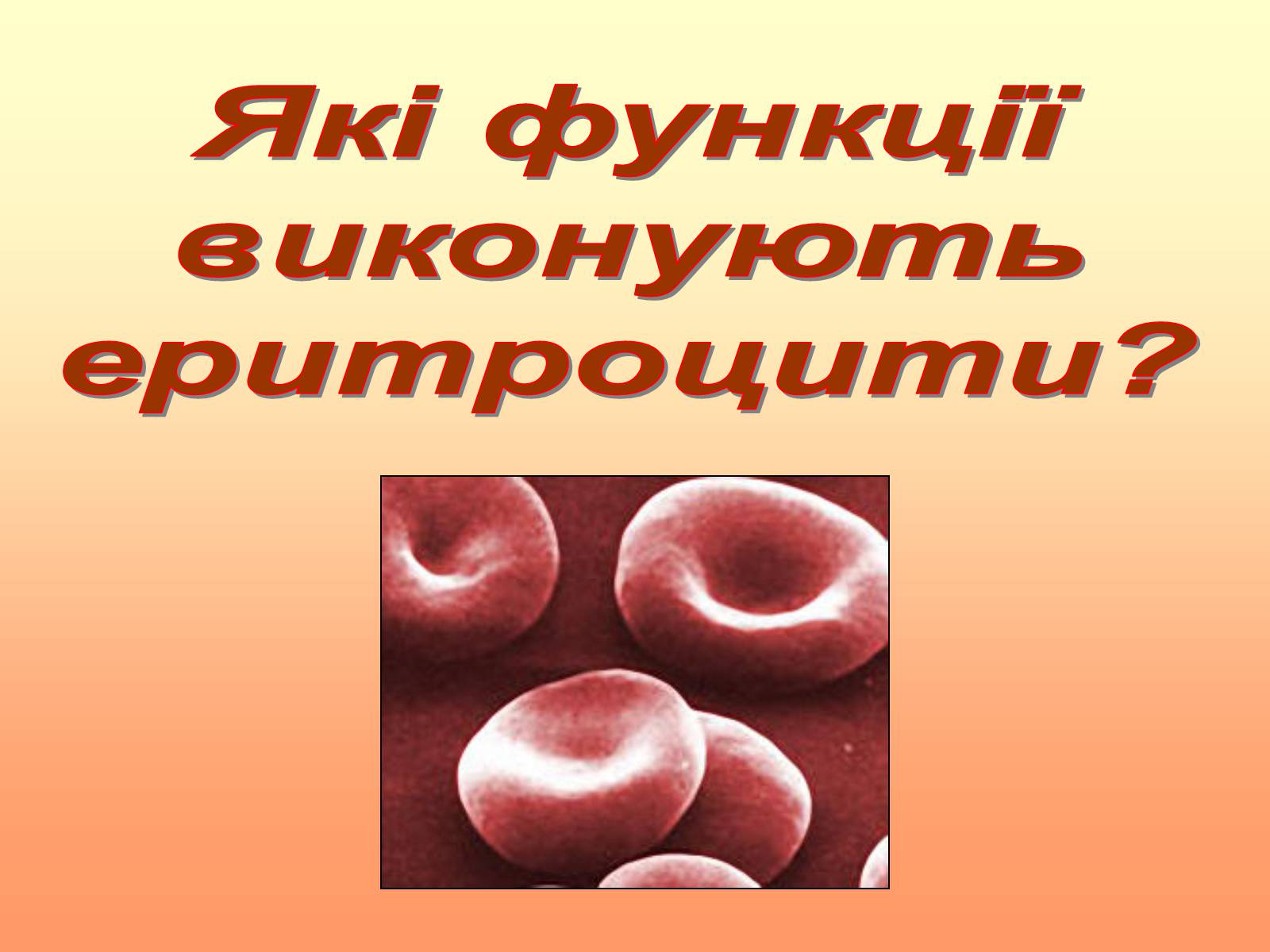 Презентація на тему «Кров» (варіант 2) - Слайд #21