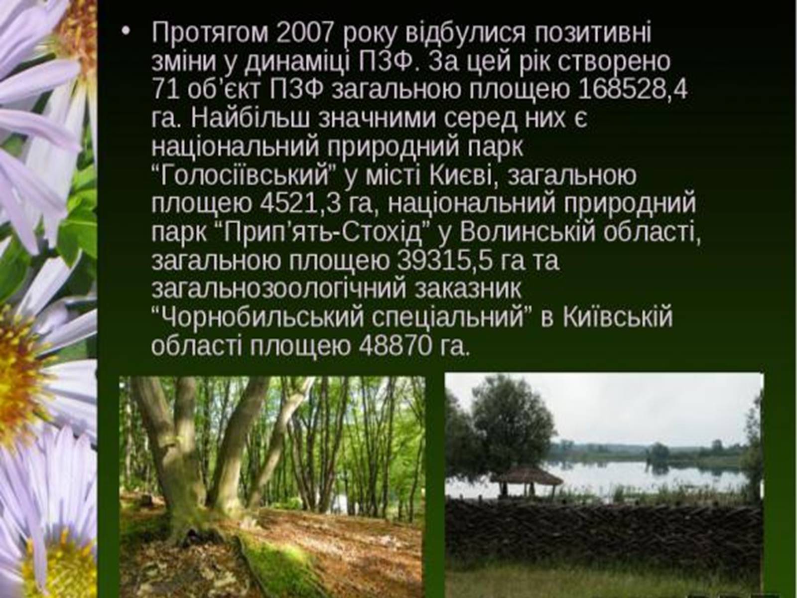 Презентація на тему «Природно-заповідний фонд України» (варіант 1) - Слайд #15