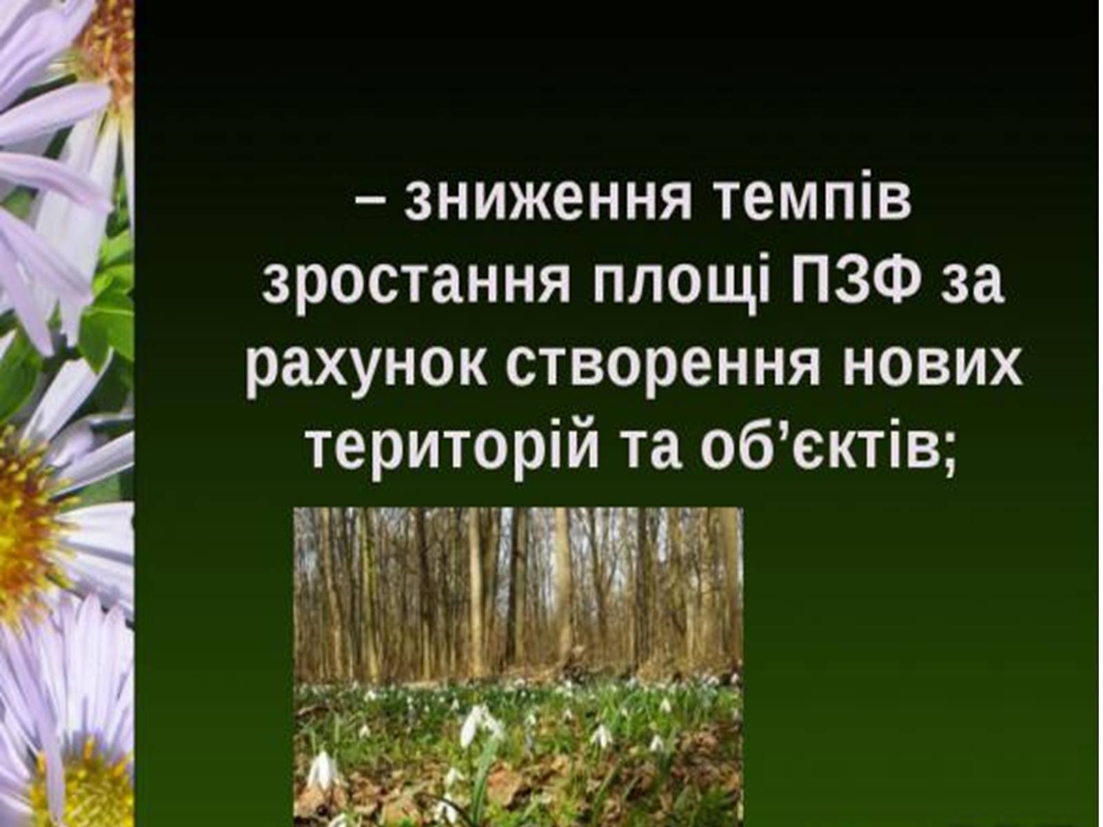 Презентація на тему «Природно-заповідний фонд України» (варіант 1) - Слайд #19
