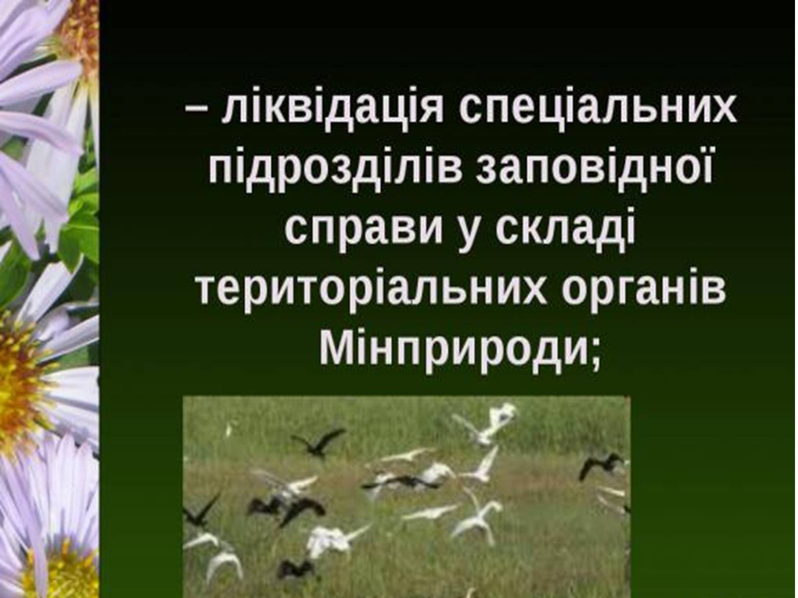 Презентація на тему «Природно-заповідний фонд України» (варіант 1) - Слайд #20