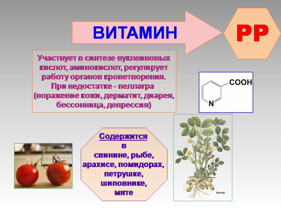 Презентація на тему «Вітаміни» (варіант 14) - Слайд #18