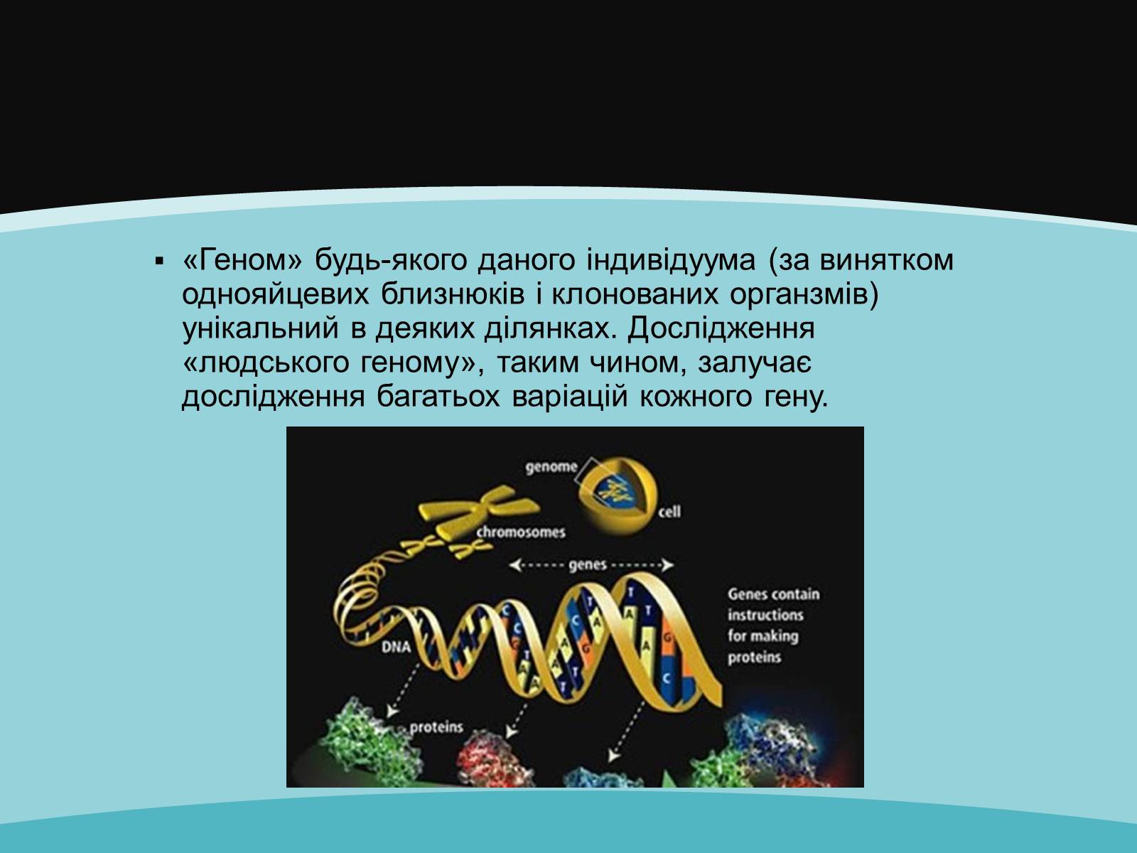 Презентація на тему «Проект геному людини» (варіант 2) - Слайд #7