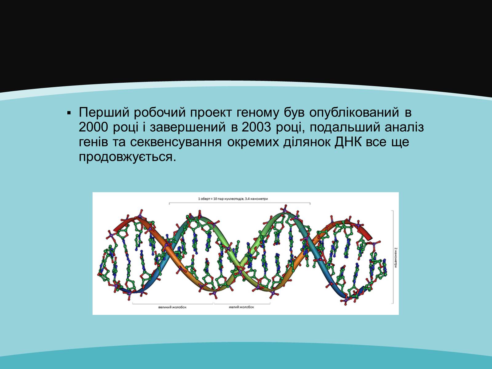 Презентація на тему «Проект геному людини» (варіант 2) - Слайд #11
