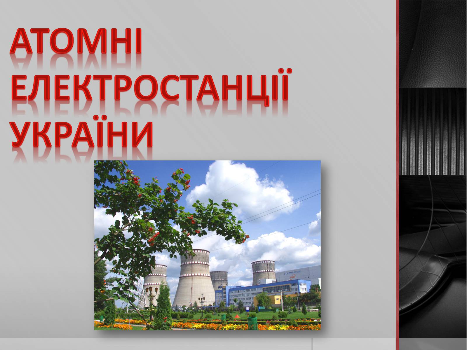 Презентація на тему «Атомні електростанції України»