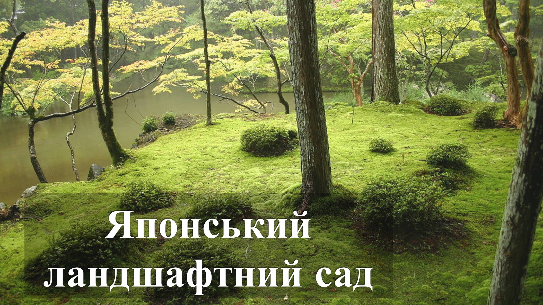 Презентація на тему «Японський ландшафтний сад» (варіант 3) - Слайд #1