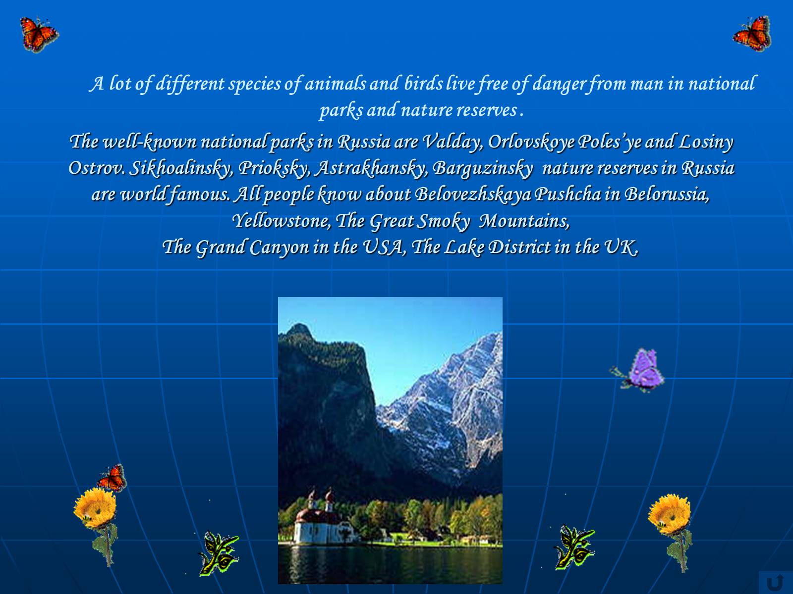 Презентація на тему «The protection of the environment» - Слайд #6
