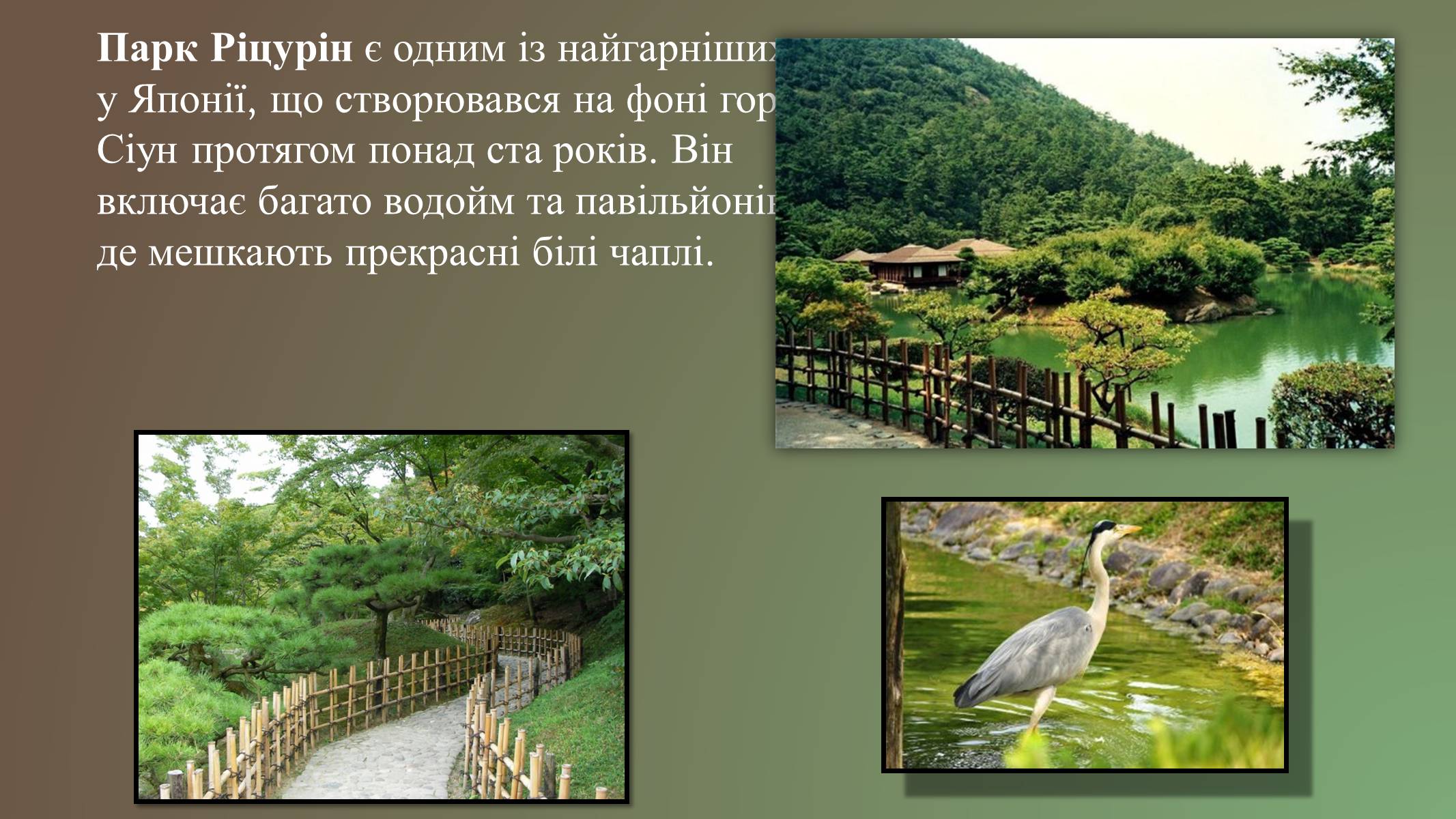 Презентація на тему «Японський ландшафтний сад» (варіант 3) - Слайд #9