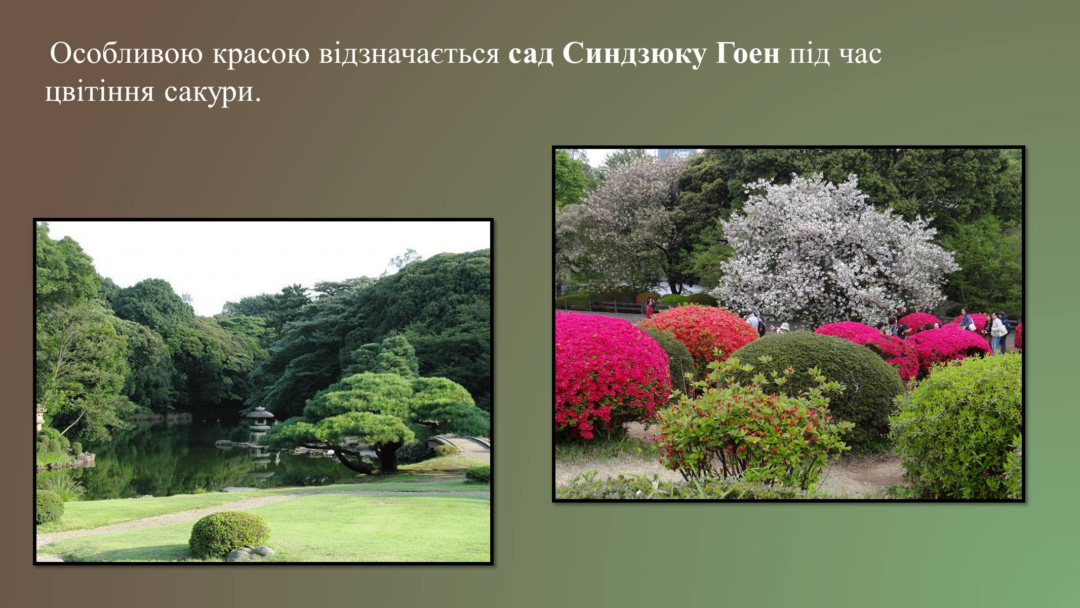Презентація на тему «Японський ландшафтний сад» (варіант 3) - Слайд #10