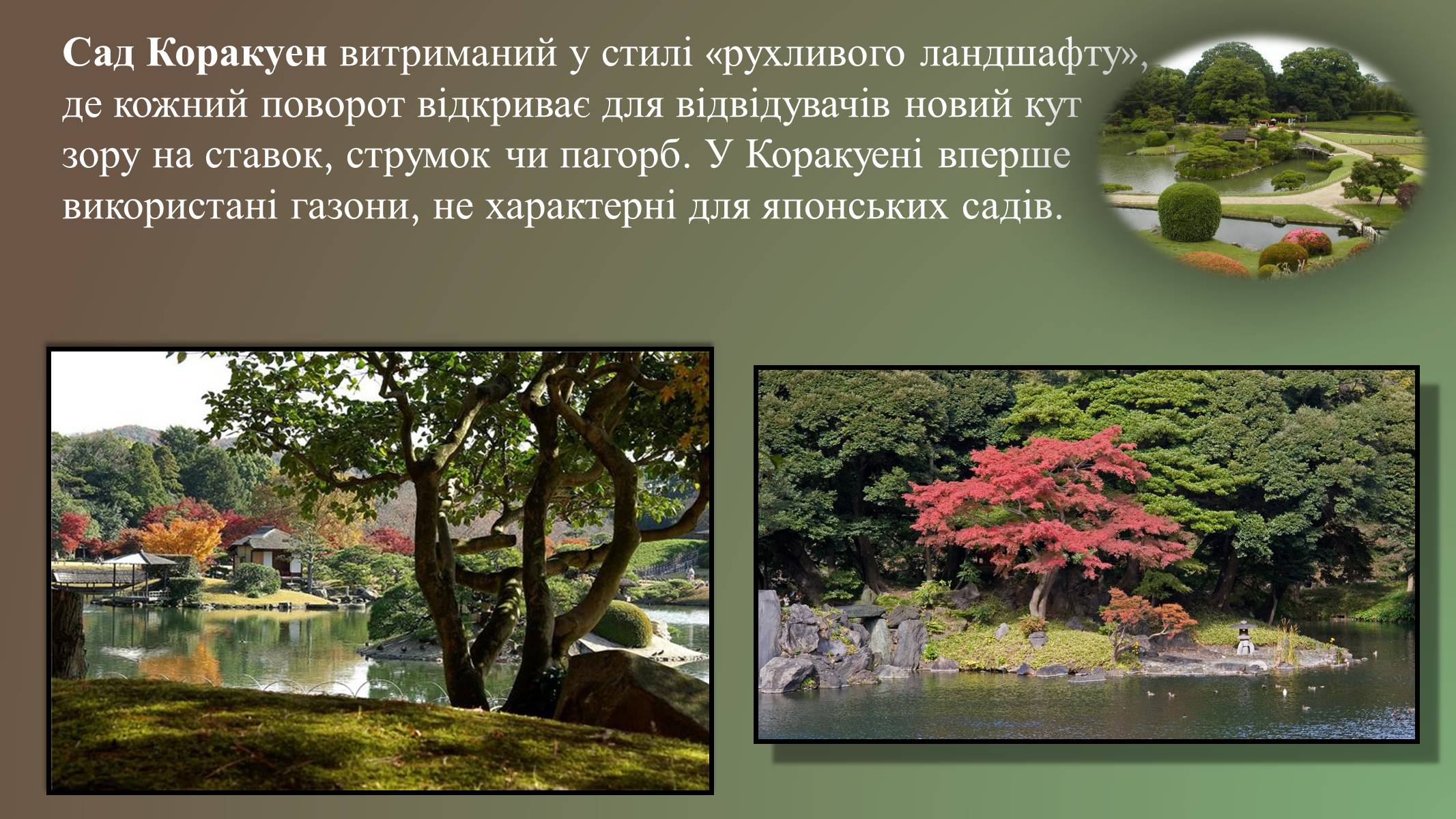 Презентація на тему «Японський ландшафтний сад» (варіант 3) - Слайд #12