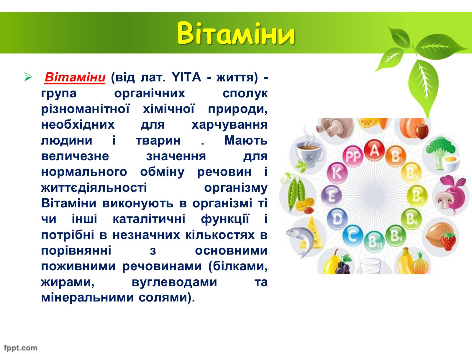 Презентація на тему «Біологічно активні речовини» - Слайд #9
