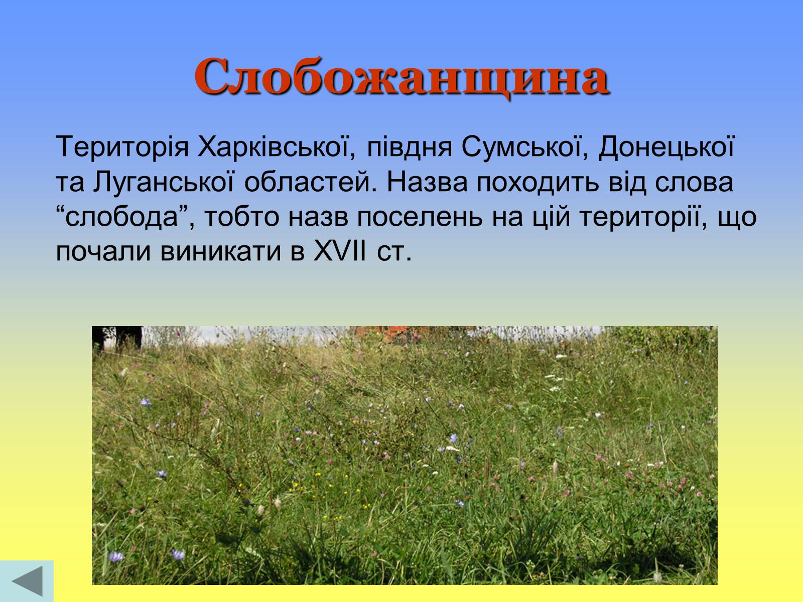 Презентація на тему «Етнічні землі України» - Слайд #9