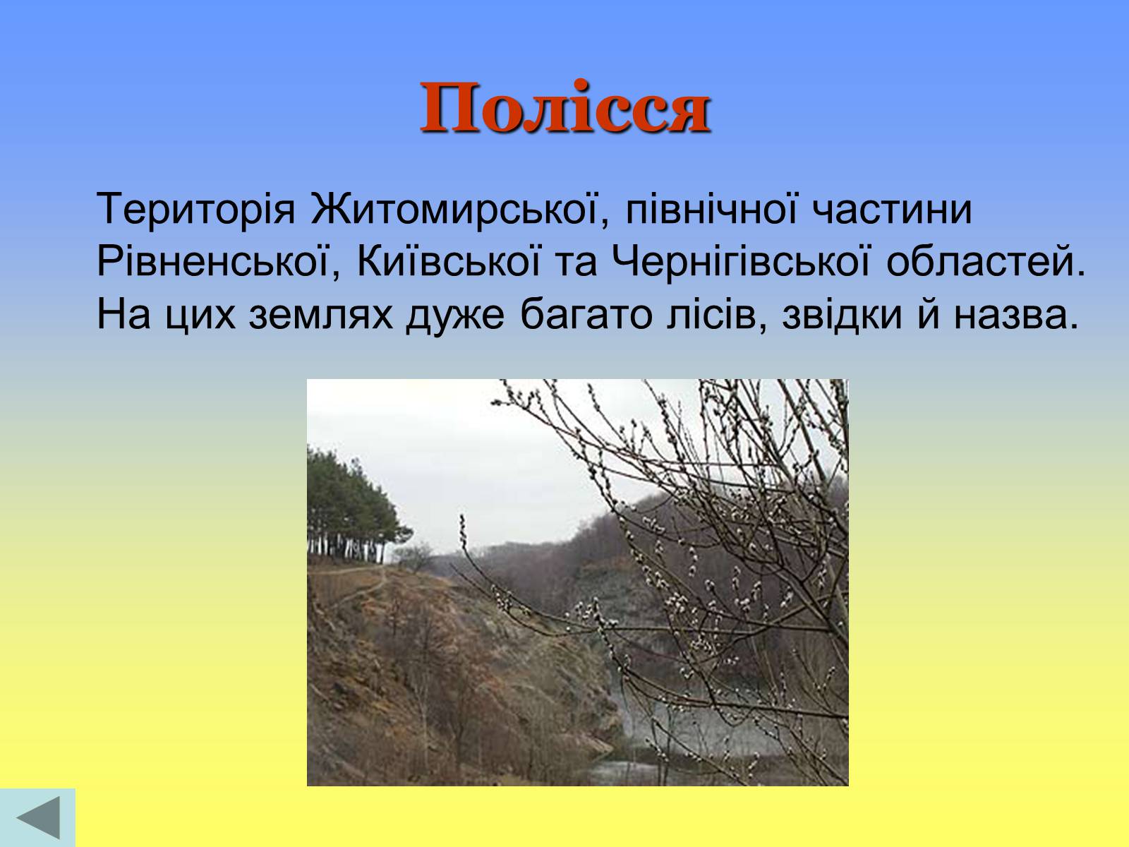Презентація на тему «Етнічні землі України» - Слайд #10