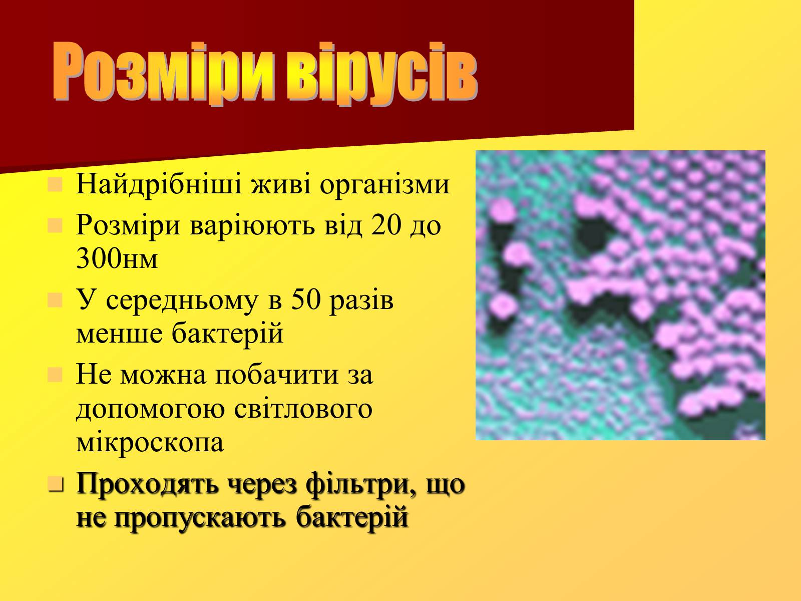 Презентація на тему «Віруси, їхня будова, життєвий цикл» (варіант 1) - Слайд #4