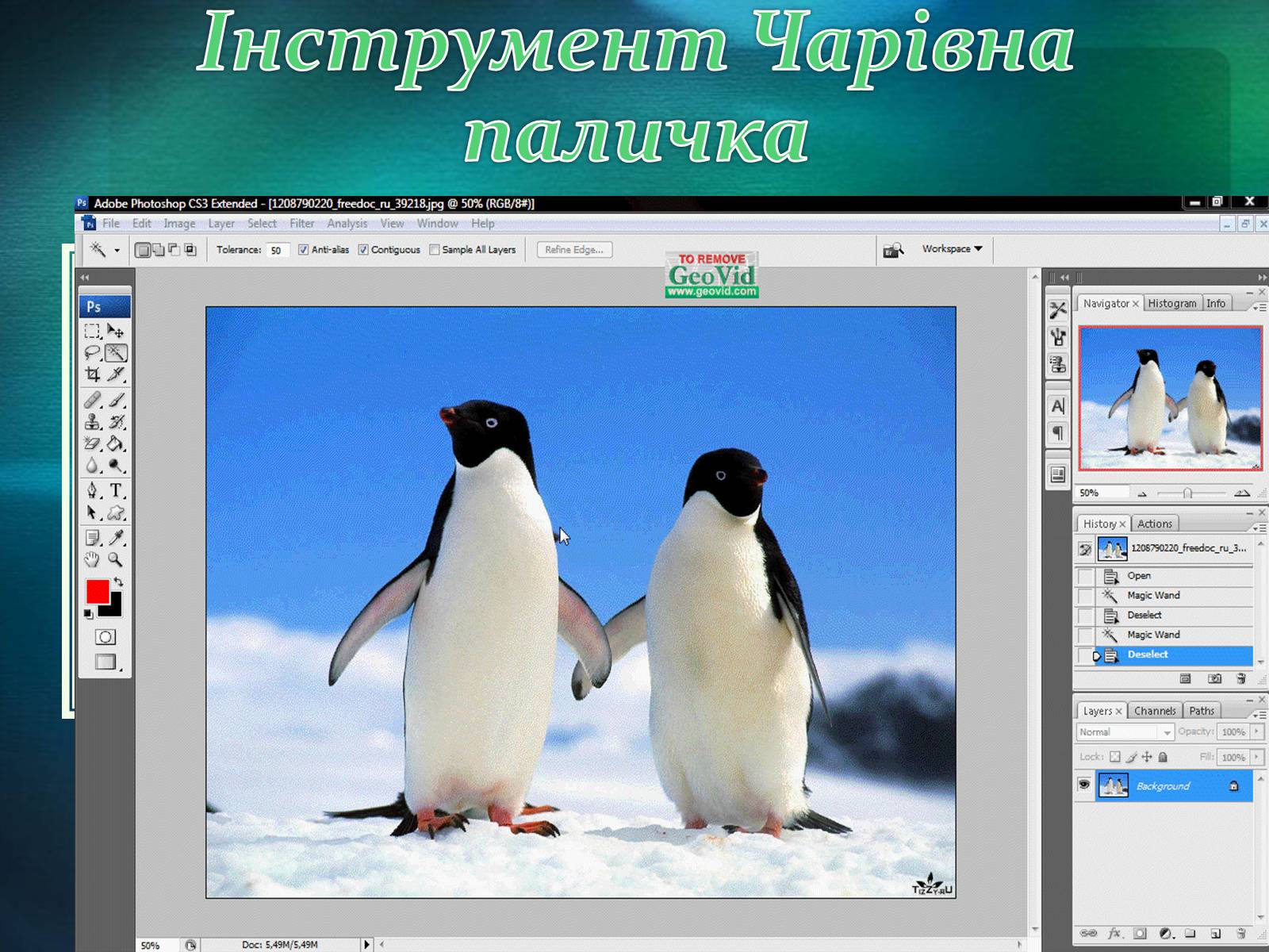 Презентація на тему «Графічний редактор Фотошоп» (варіант 2) - Слайд #33