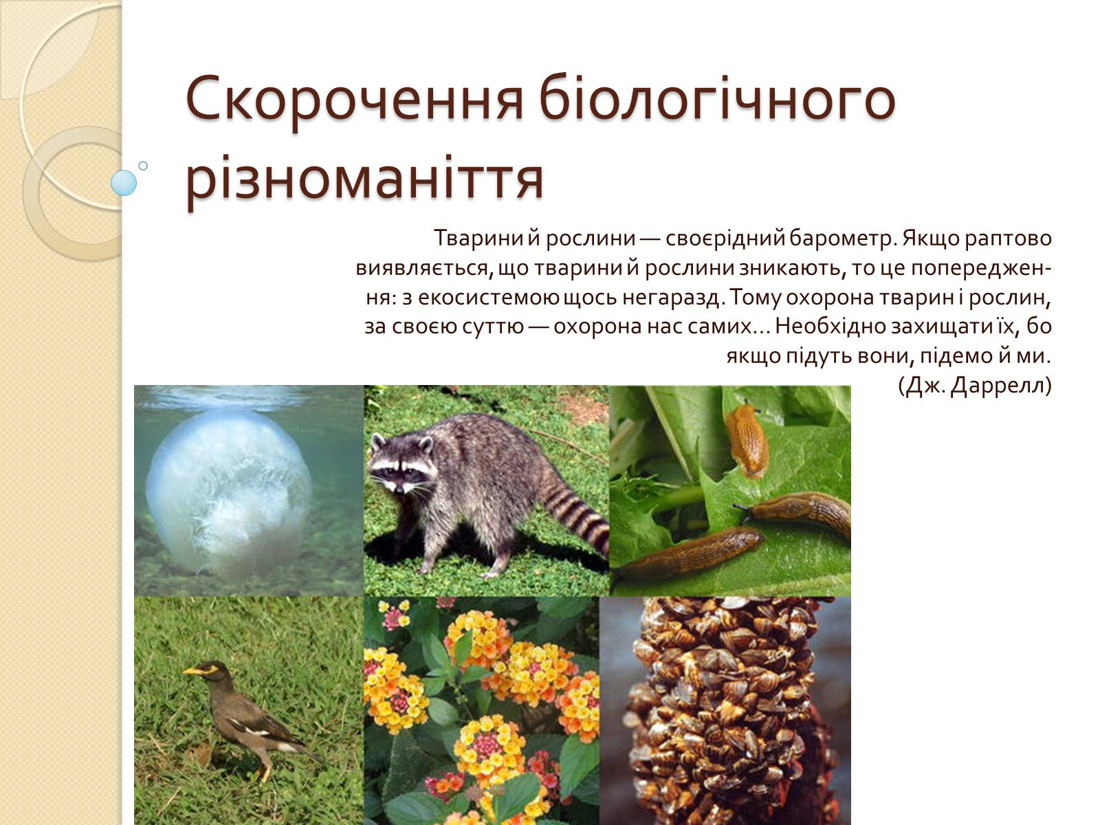 Презентація на тему «Скорочення біологічного різноманіття» - Слайд #1