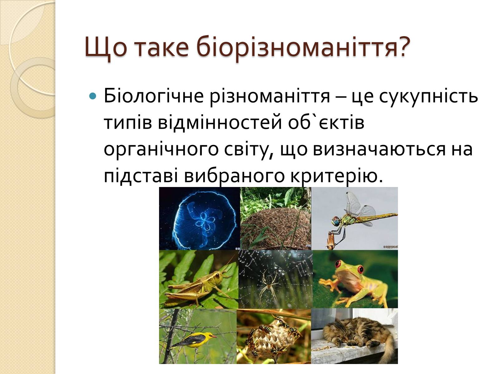 Презентація на тему «Скорочення біологічного різноманіття» - Слайд #2