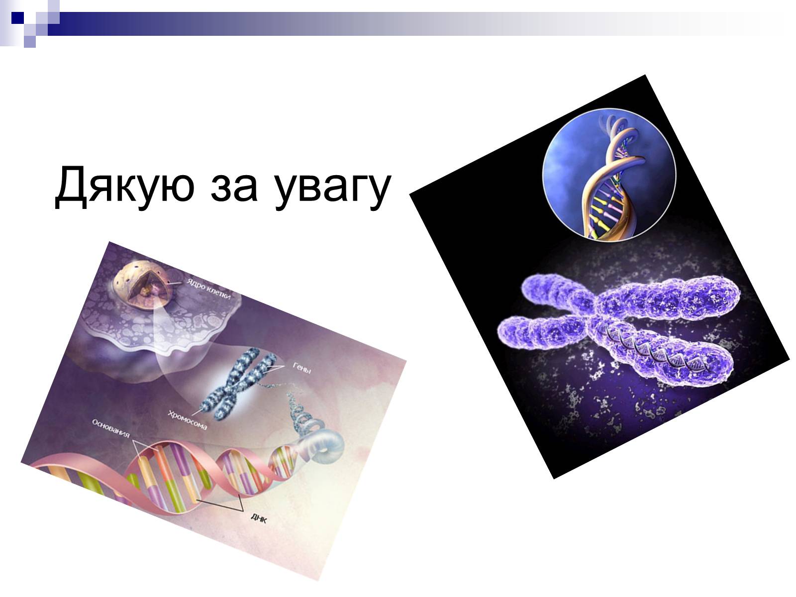 Презентація на тему «Генетична інженерія» (варіант 2) - Слайд #11