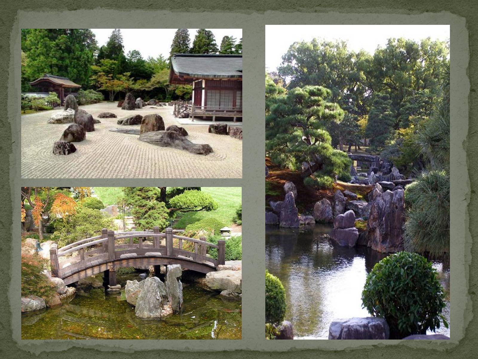 Презентація на тему «Японський сад» (варіант 1) - Слайд #13
