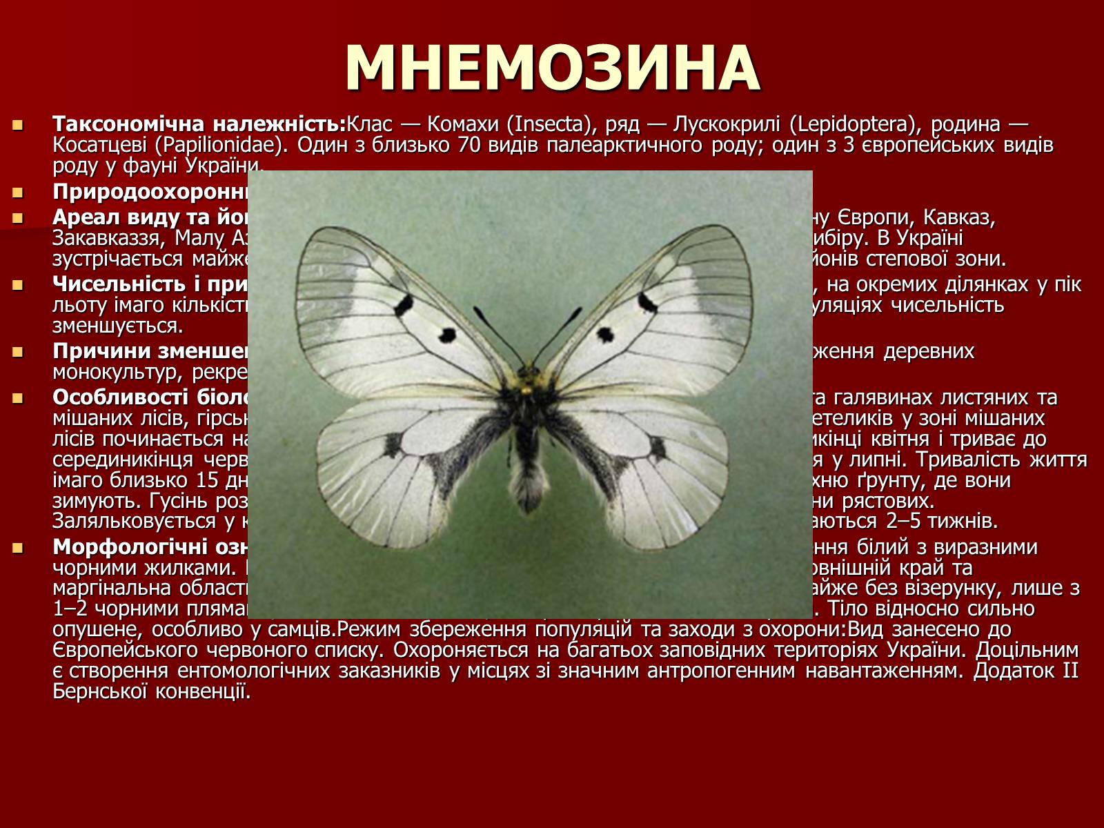 Презентація на тему «Червона книга України» (варіант 1) - Слайд #15