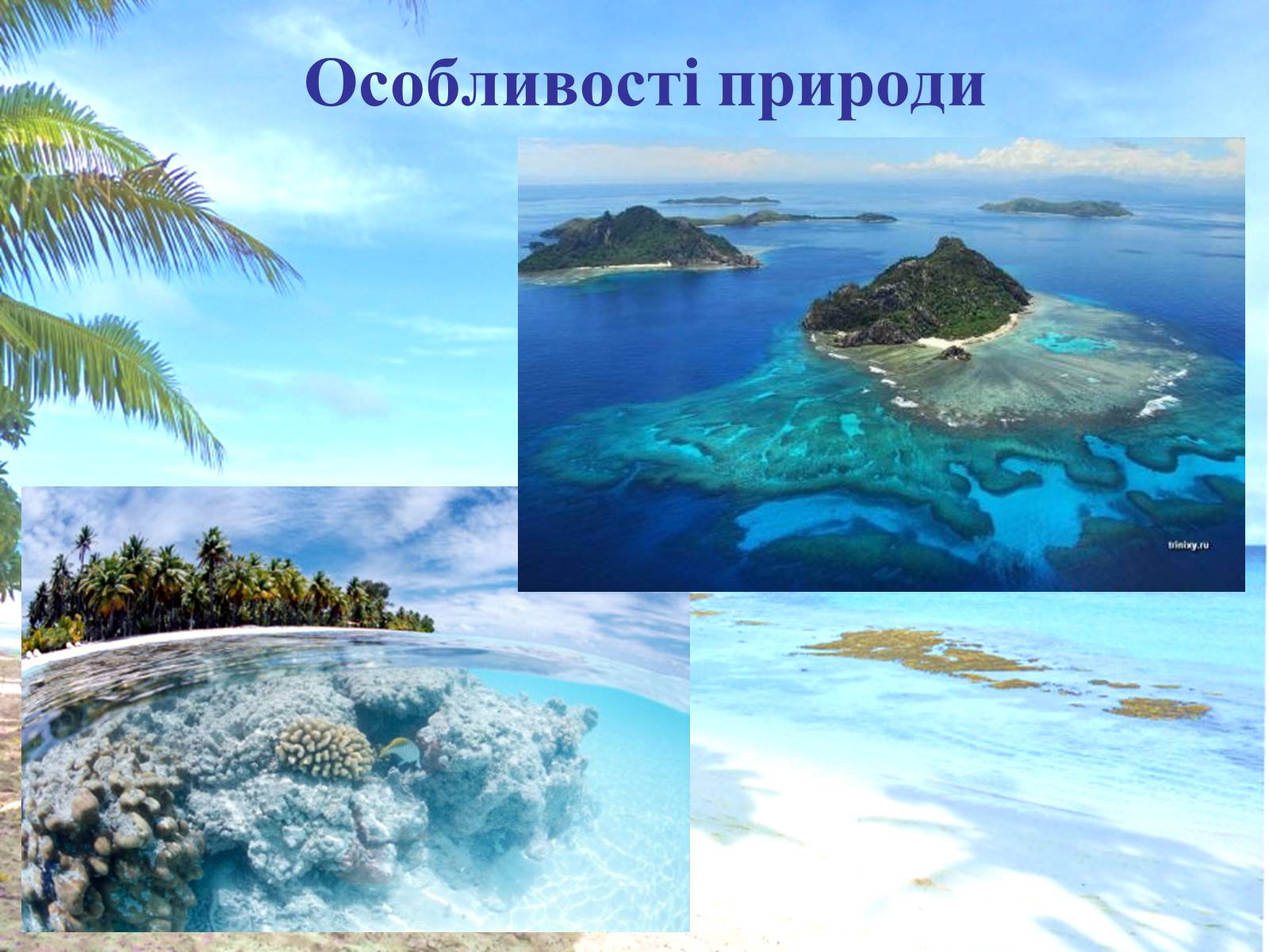 Презентація на тему «Океанія» (варіант 1) - Слайд #7