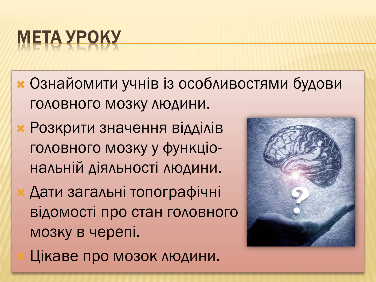 Презентація на тему «Головний мозок» (варіант 1) - Слайд #2