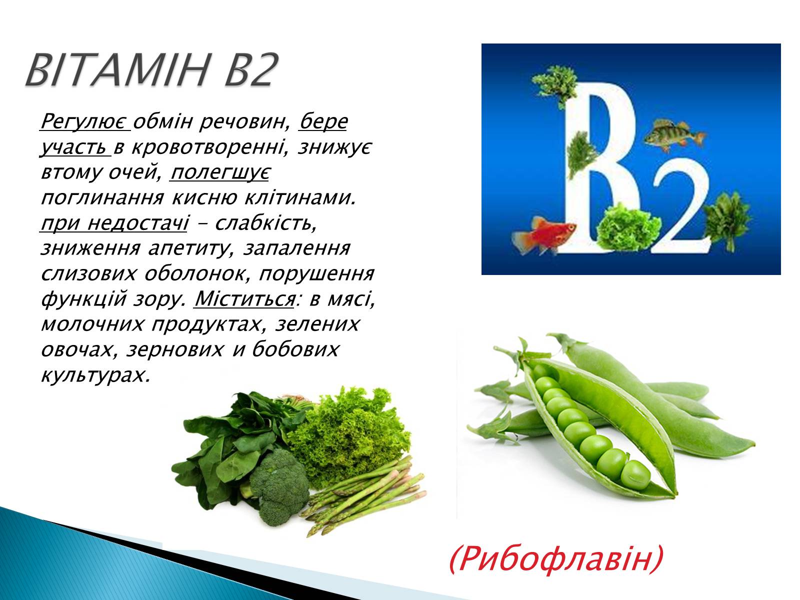 Презентація на тему «Вітаміни» (варіант 10) - Слайд #7