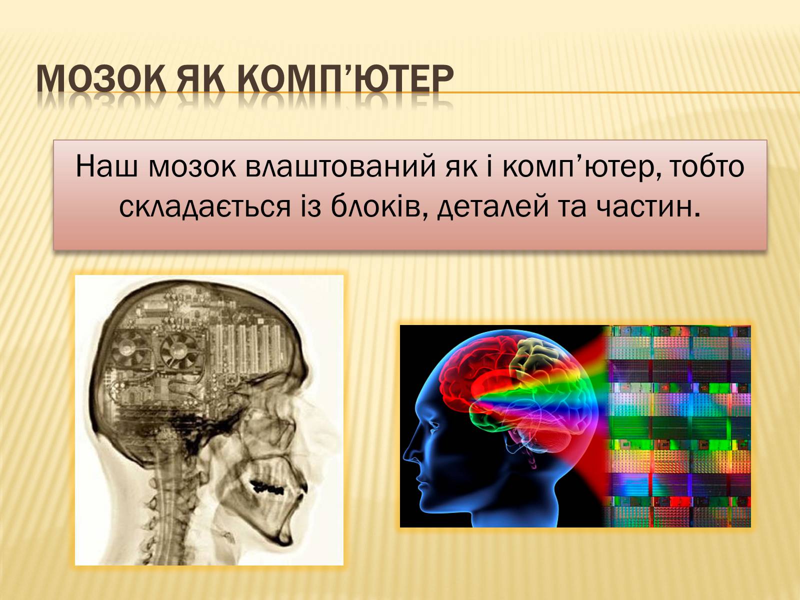 Презентація на тему «Головний мозок» (варіант 1) - Слайд #33