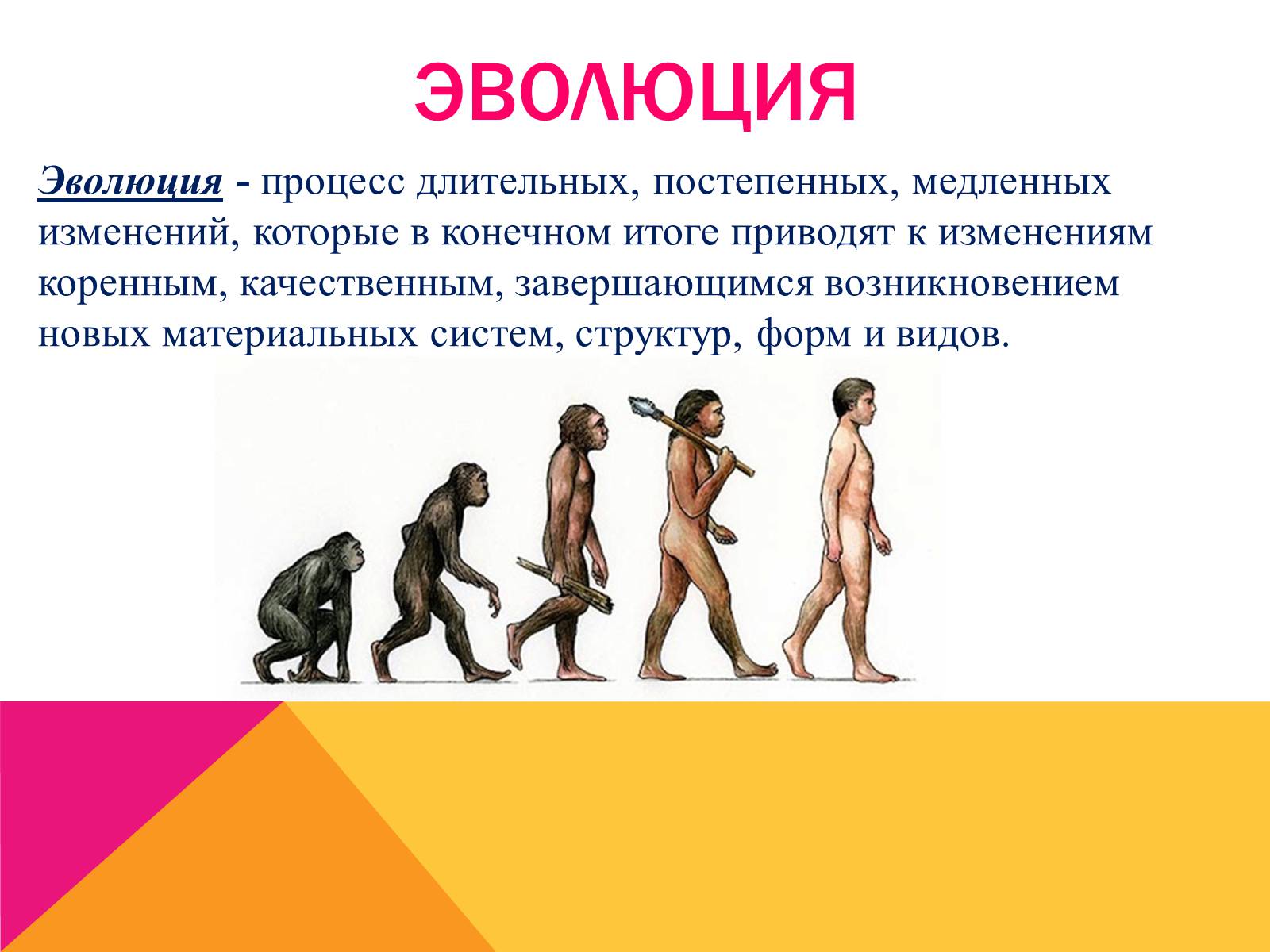 Презентация на тему Эволюция