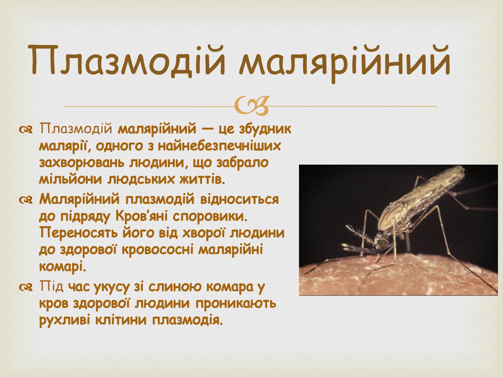 Презентація на тему «Малярійний плазмодій» - Слайд #2